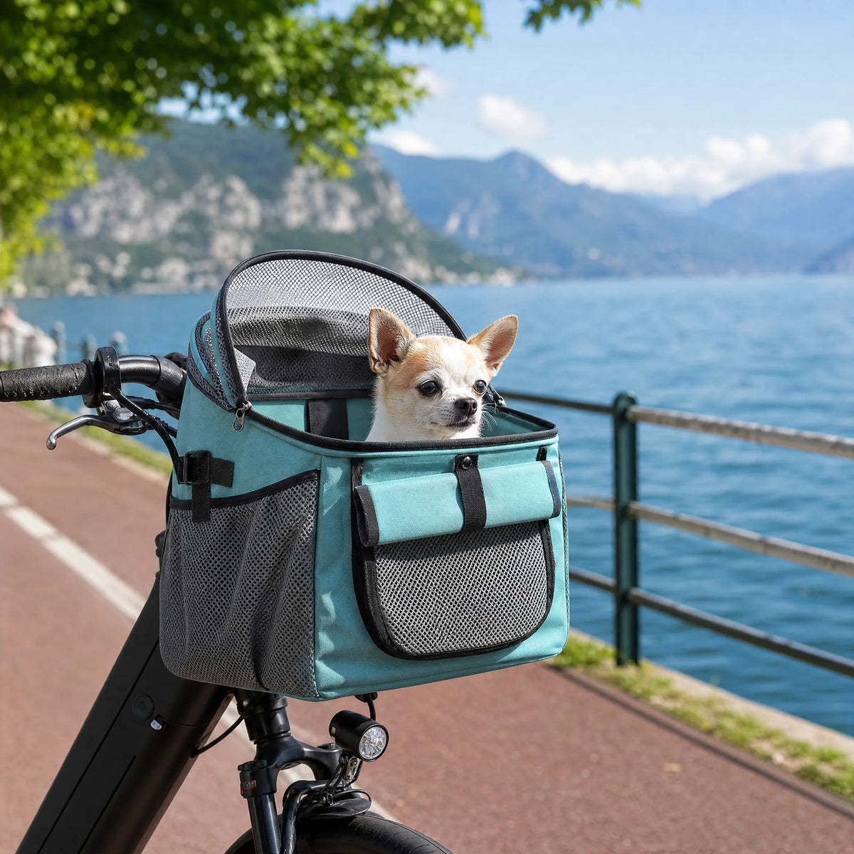 Cestino porta cane montato sul manubrio di una e-bike su pista ciclabile lungo lago