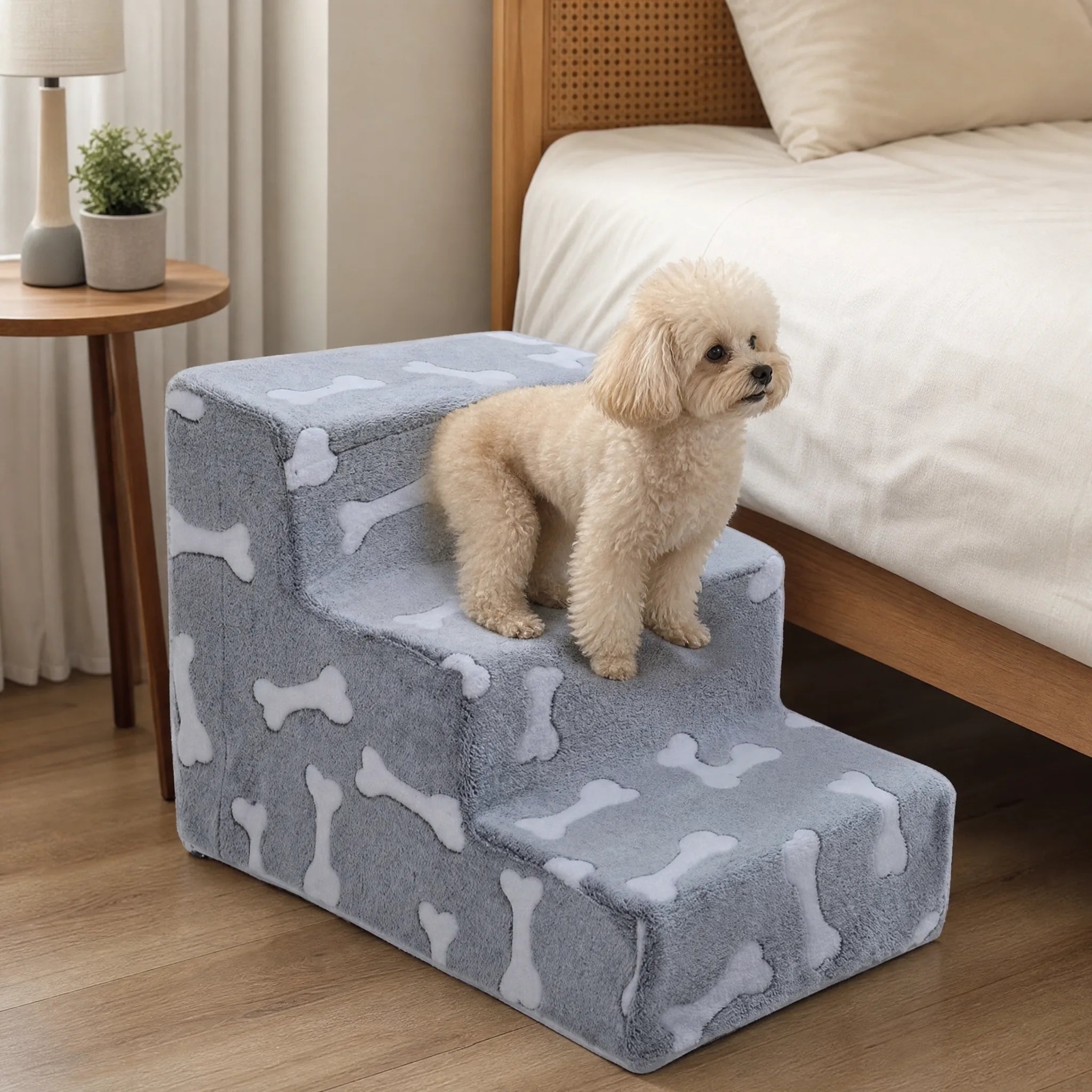 Rampa per cani divano osso - cane sui gradini accanto al letto