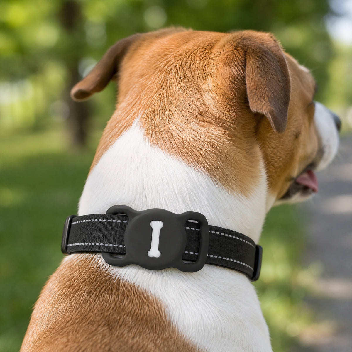 porta-airtag-collare-cane-life2