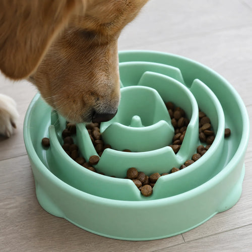 Cane mangia lentamente dai rilievi a spirale della ciotola slow feeder