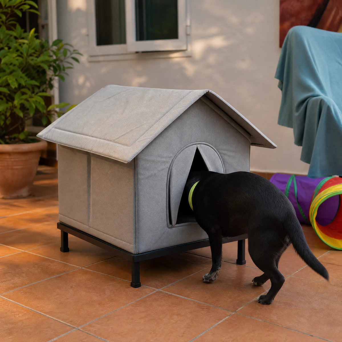 Cane che entra nella cuccia da esterno per cani sul patio
