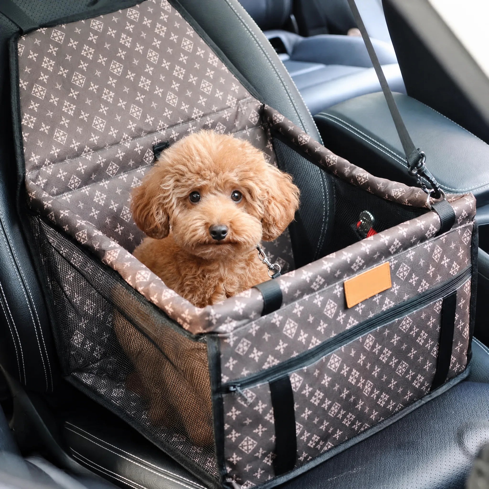 Seggiolino auto cane fantasia marrone in auto