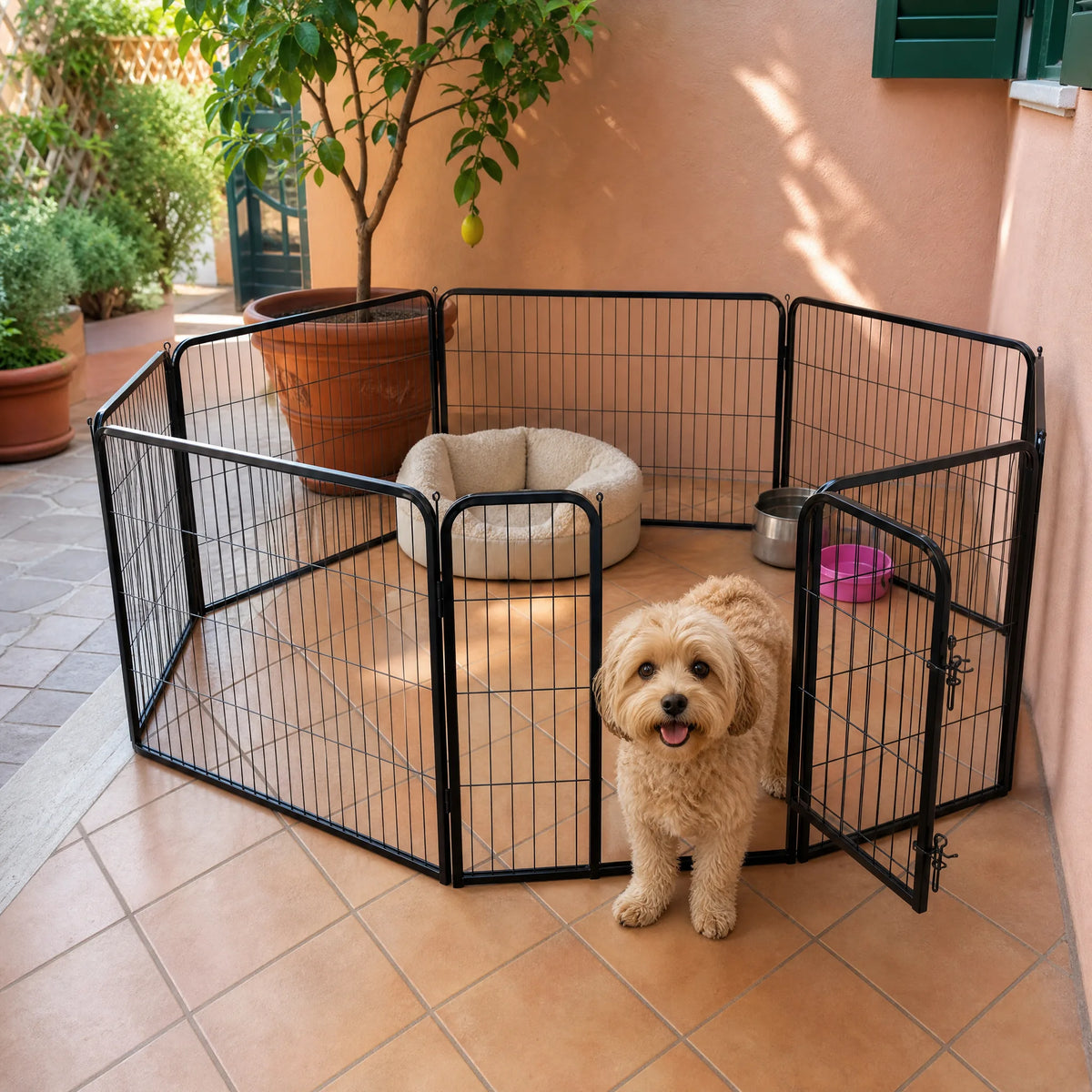 Recinto per cani metallo pannelli su terrazza con porta aperta