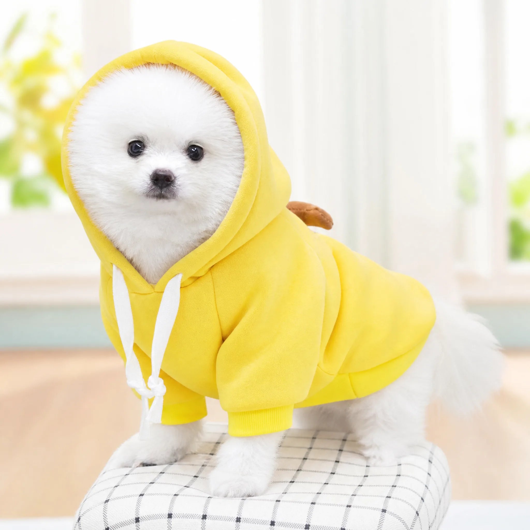 Cane con felpa costume banana cappuccio 3D