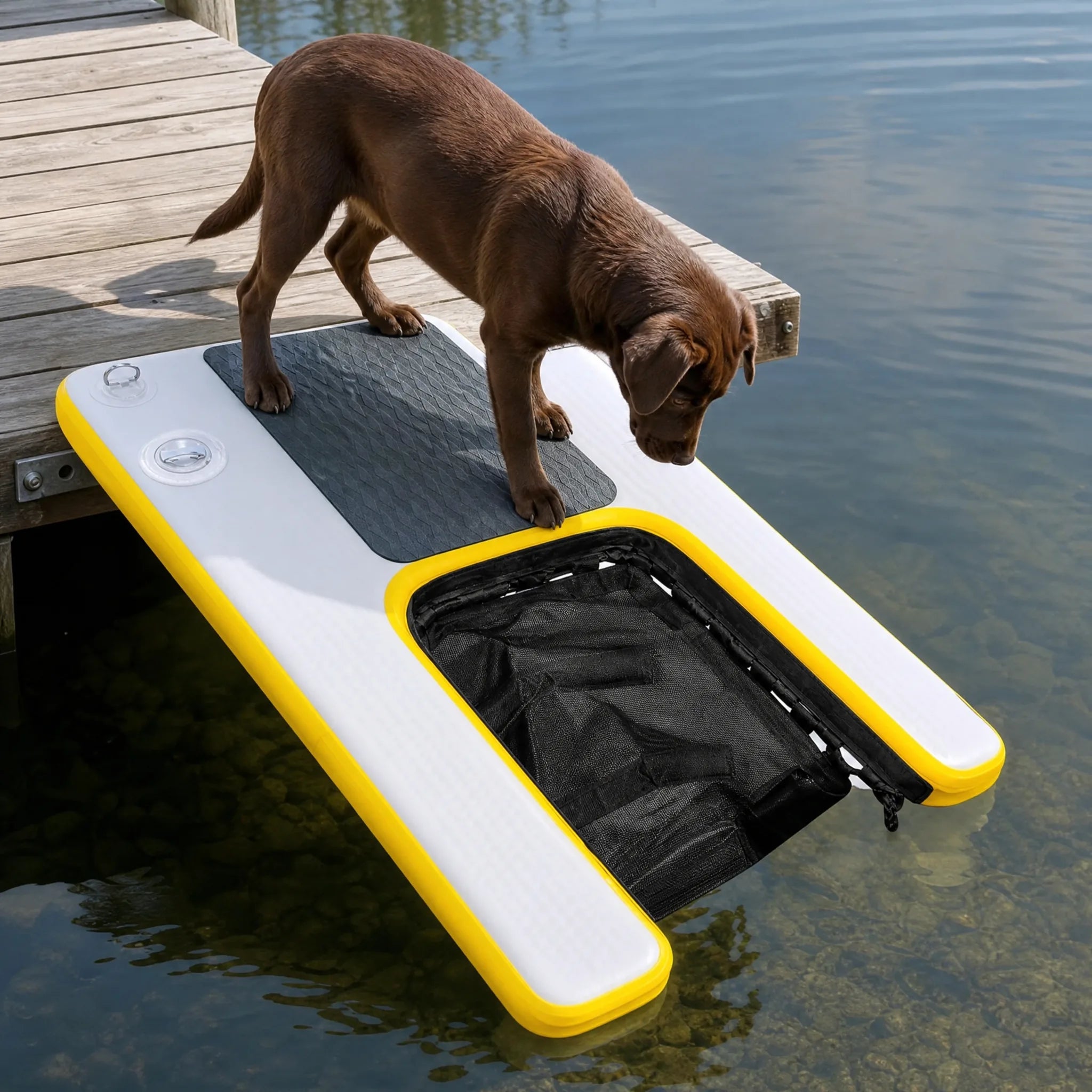 Cane su un pontile di legno con la rampa gonfiabile che scende verso il lago