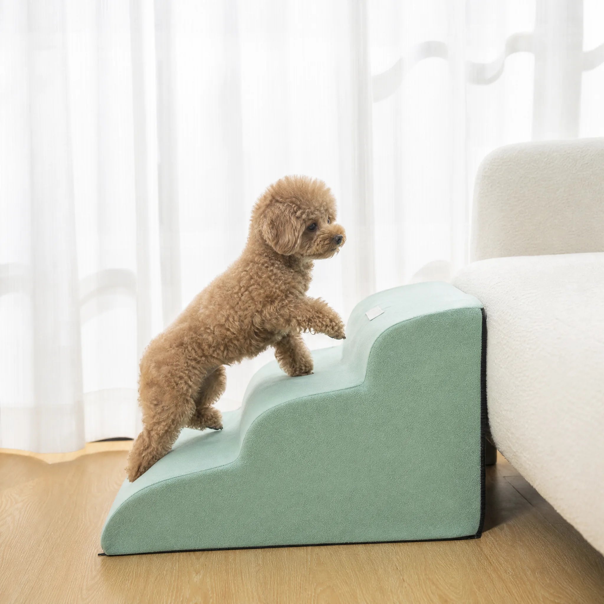 Rampa per cani divano memory foam - cane che sale