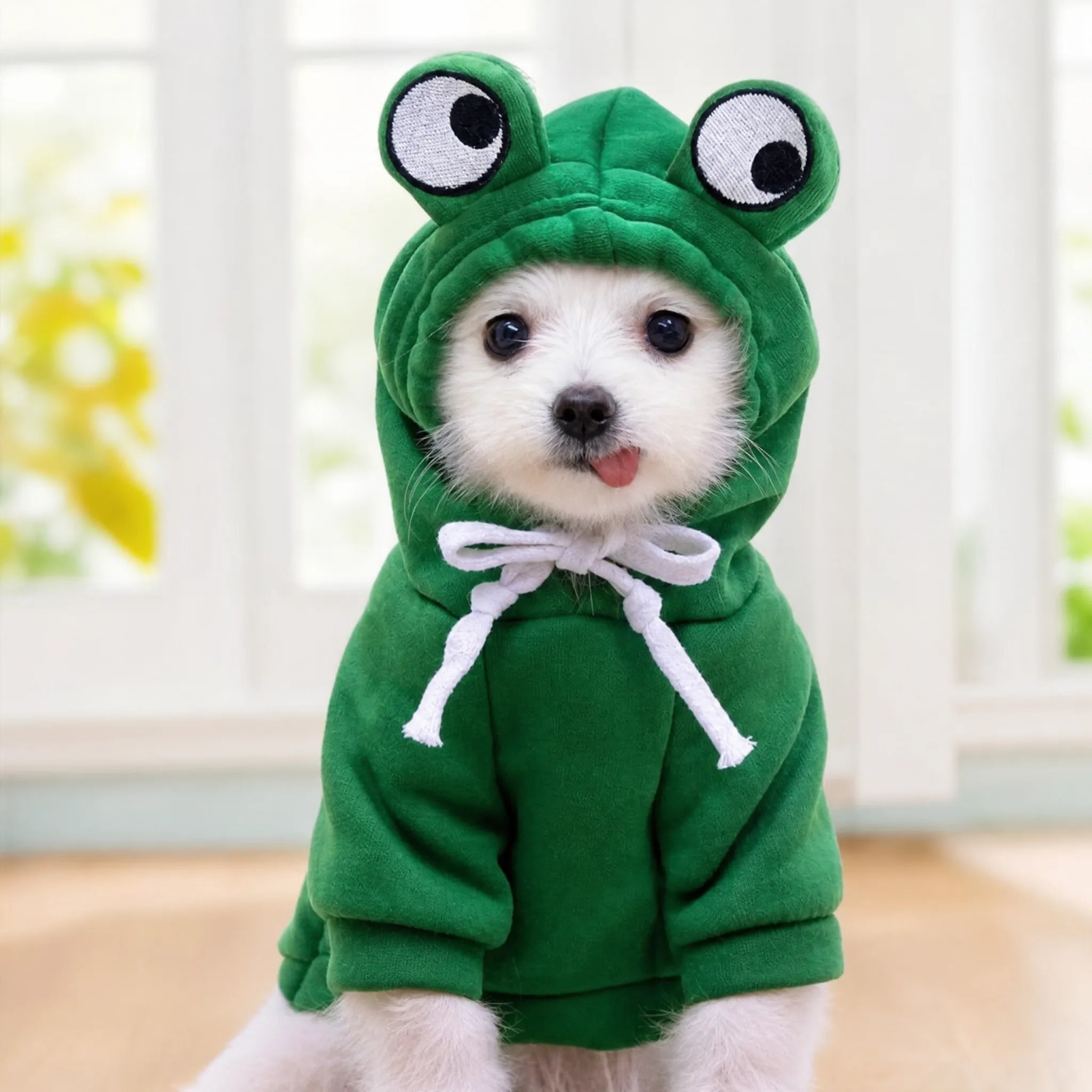 Cane con felpa costume rana cappuccio 3D