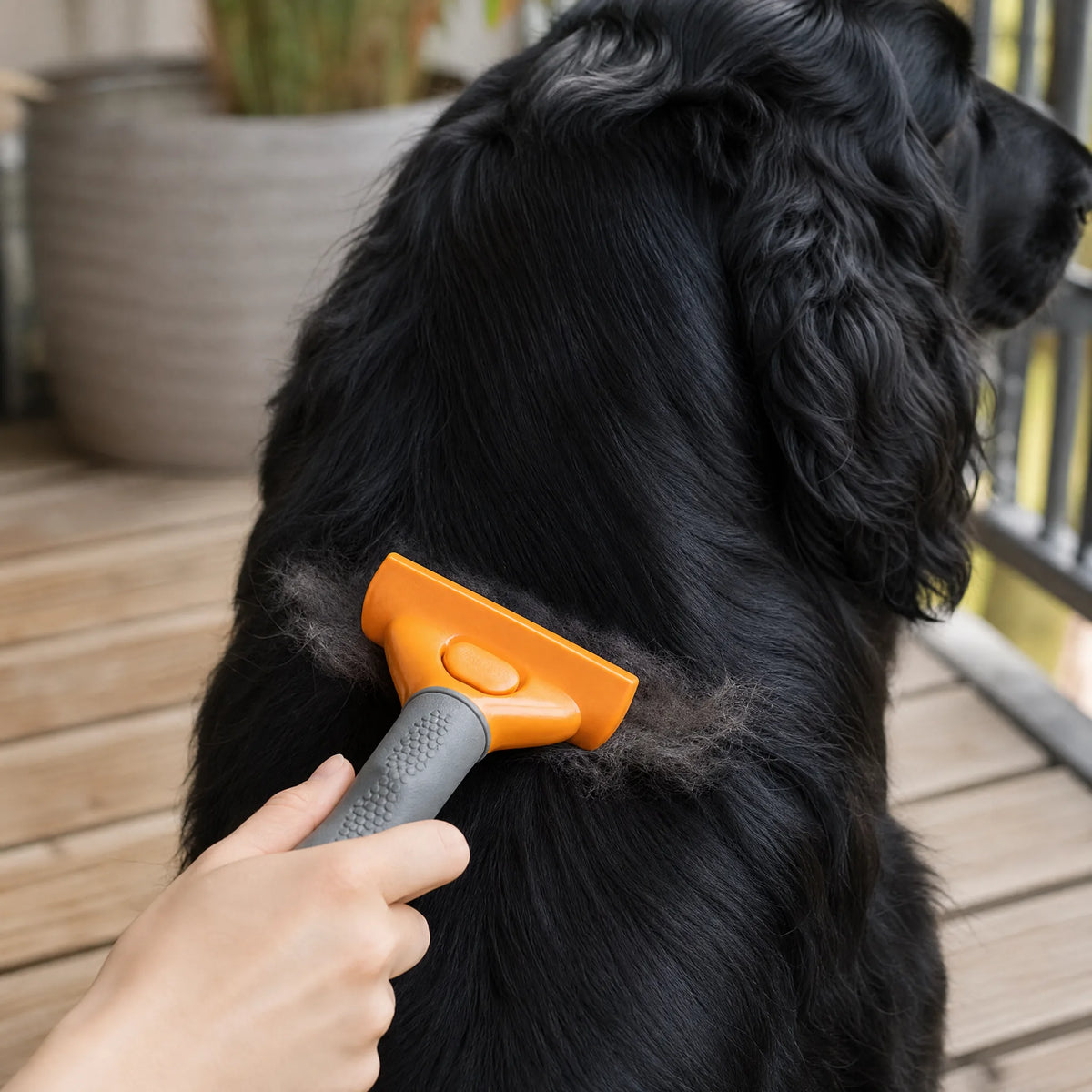 Spazzola sottopelo cane che rimuove il pelo morto dal manto