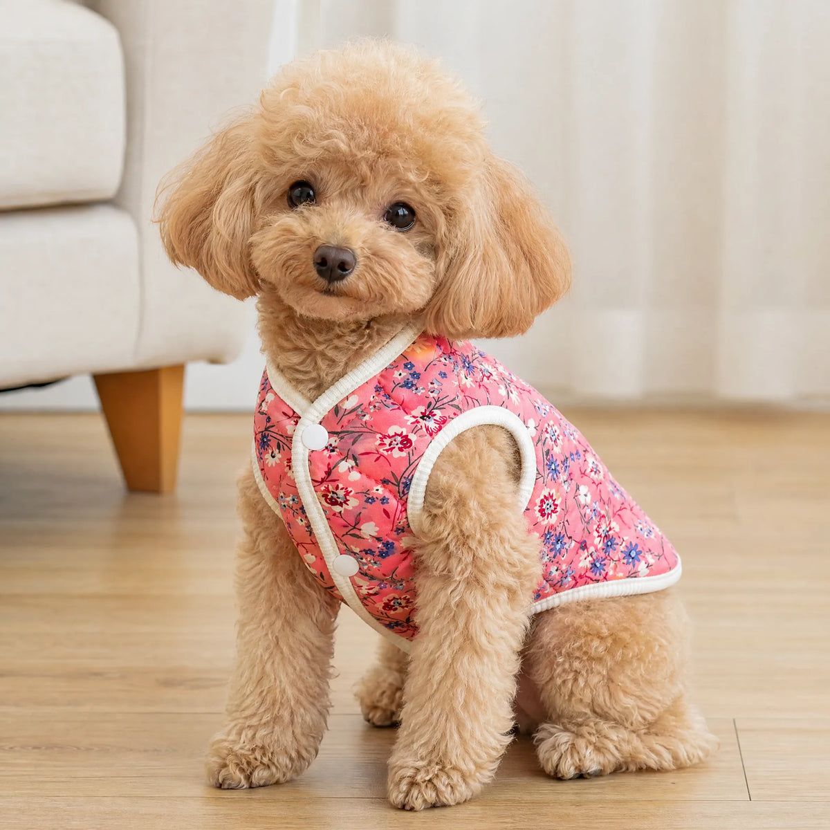 Cane in casa con cappottino floreale rosa
