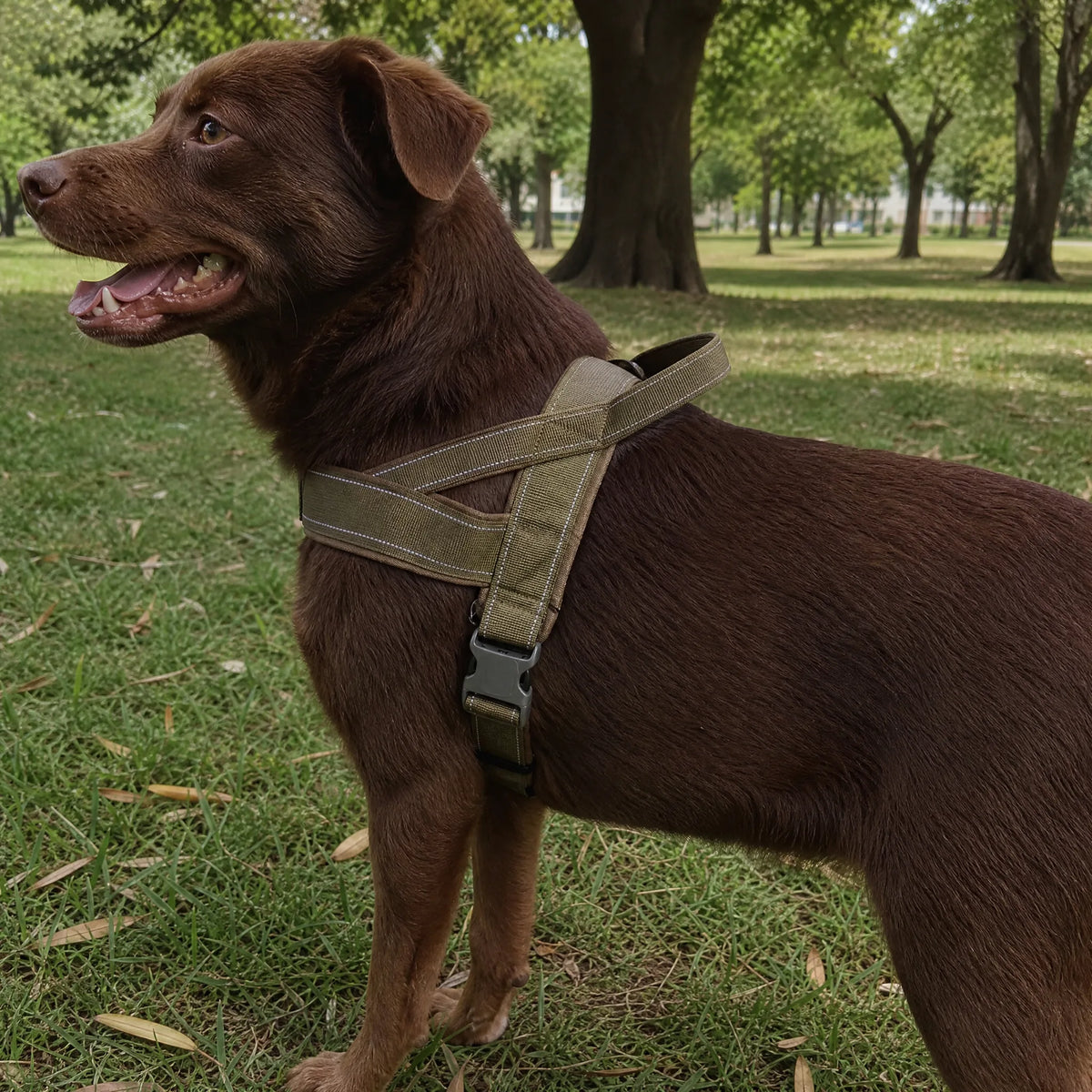 Cane con pettorina anti-trazione oliva vista dorso maniglia e X-back