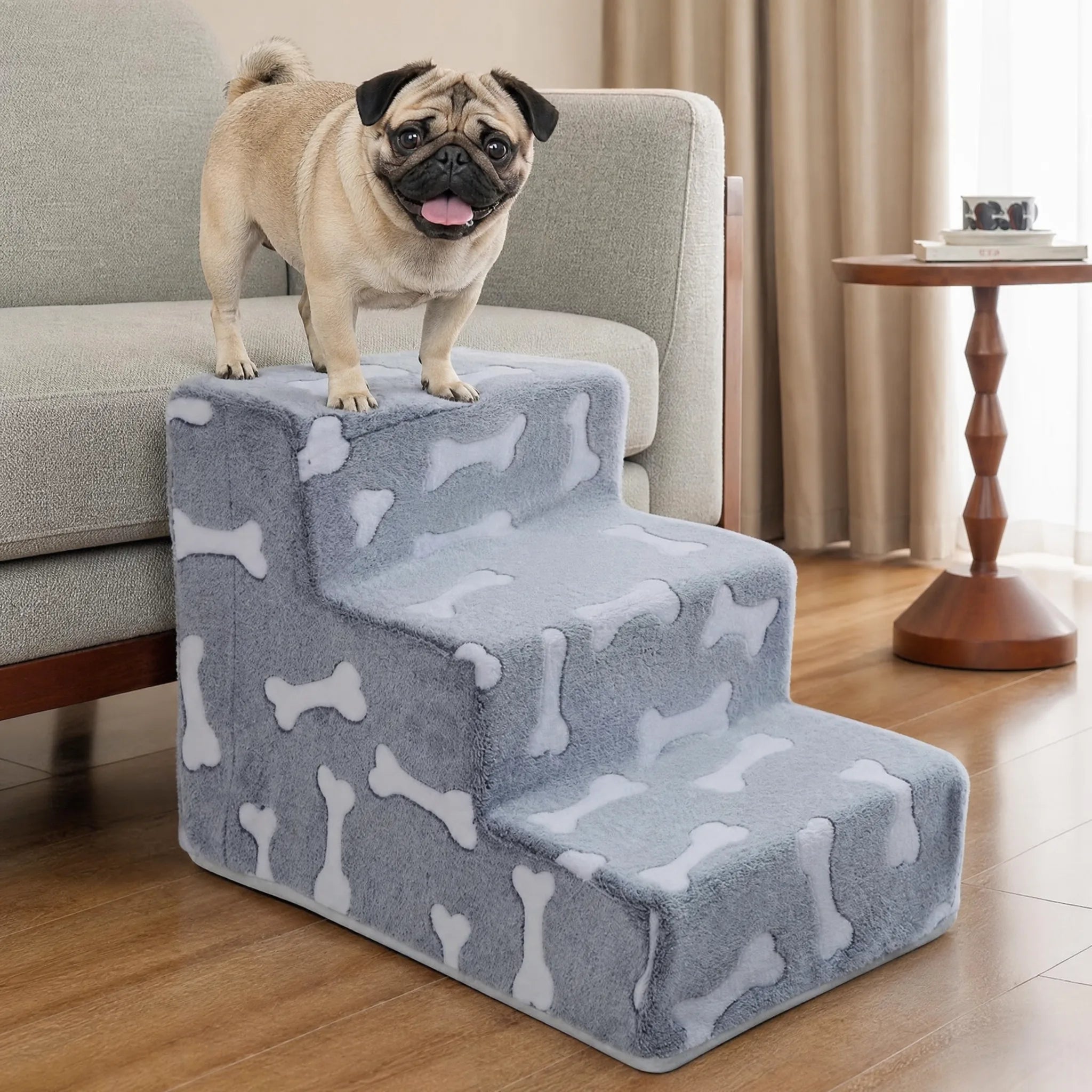 Rampa per cani divano osso - cane in cima alla scaletta