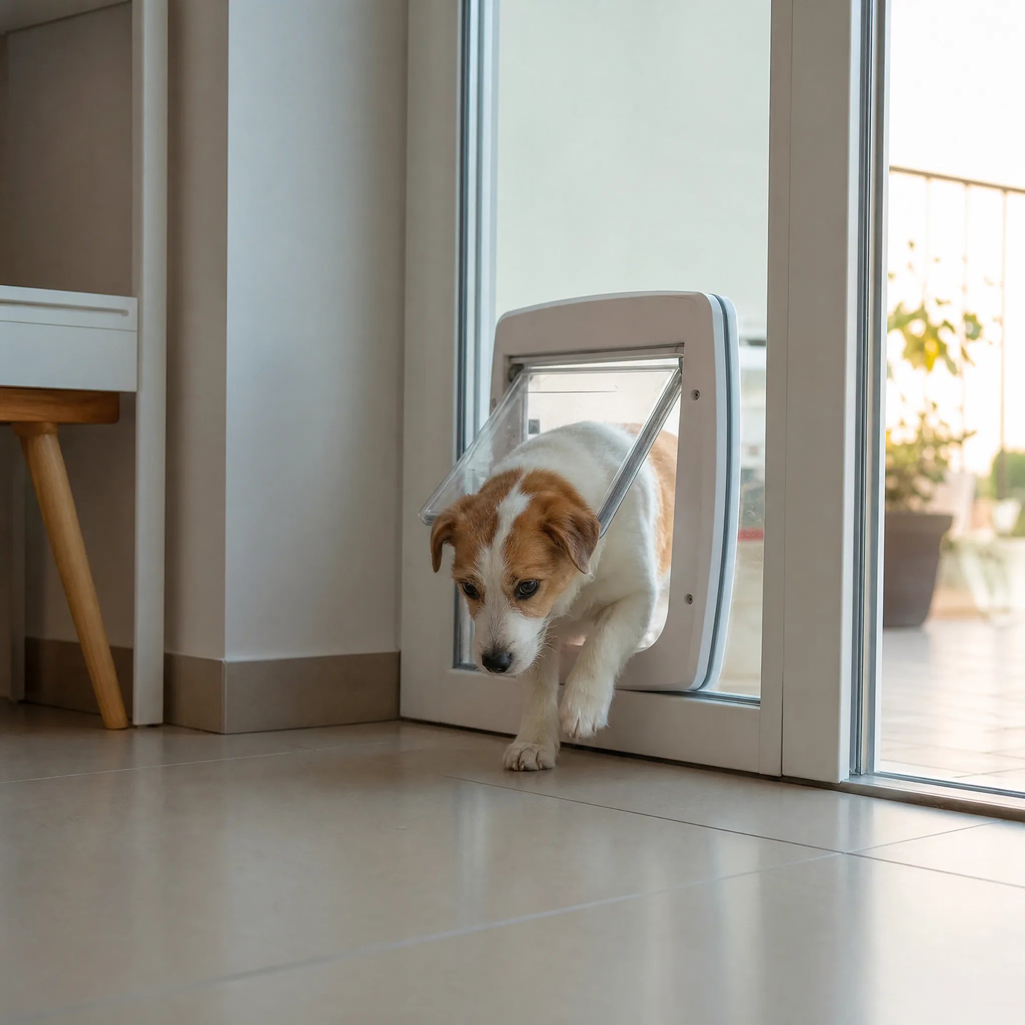 Cane che entra in casa attraverso la portina basculante installata sulla porta-finestra