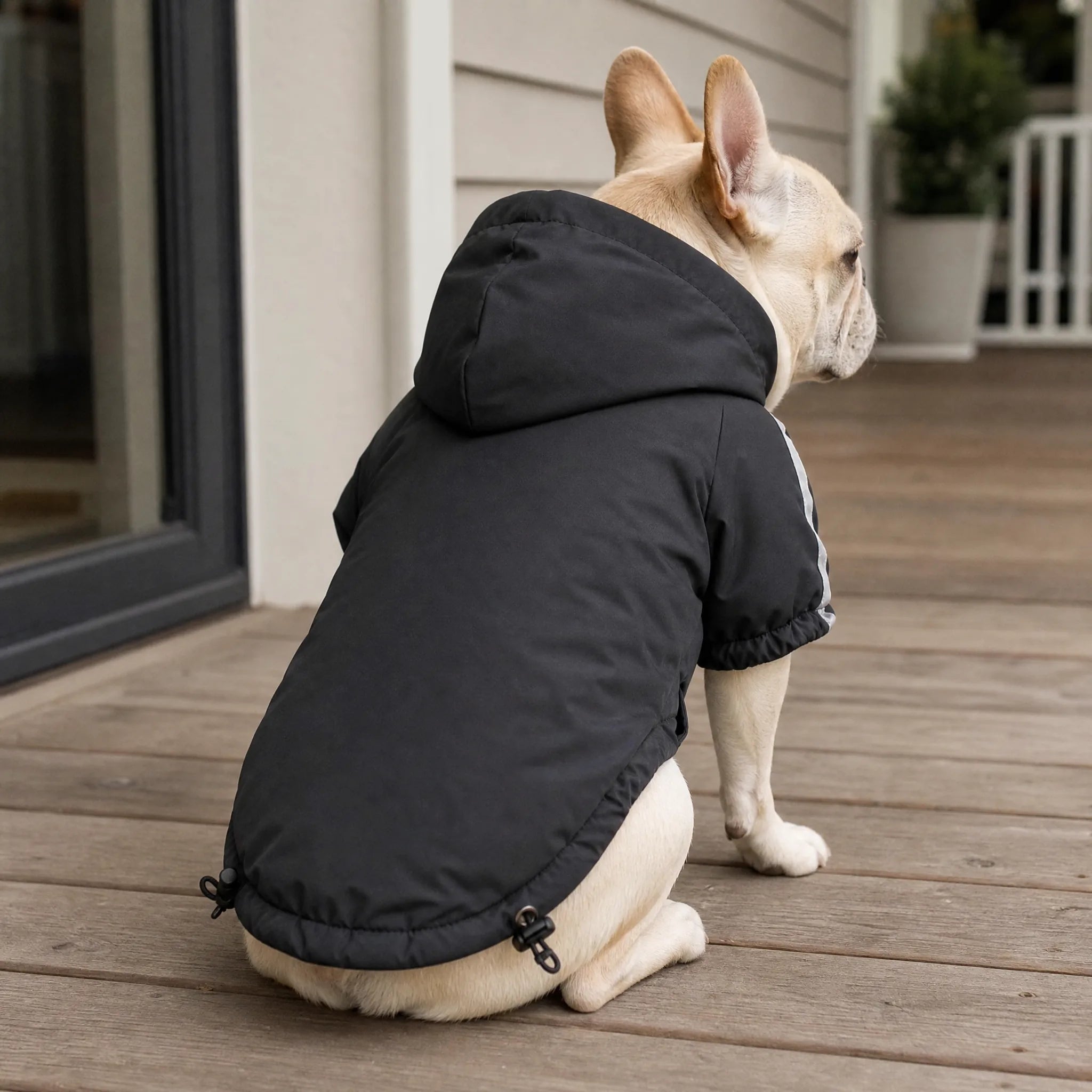 Cappotto cane con cappuccio visto da dietro, coulisse
