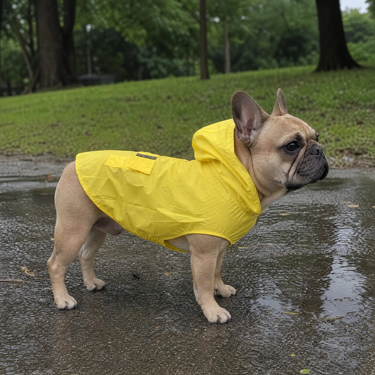 Bulldog francese con poncho impermeabile giallo al parco dopo la pioggia