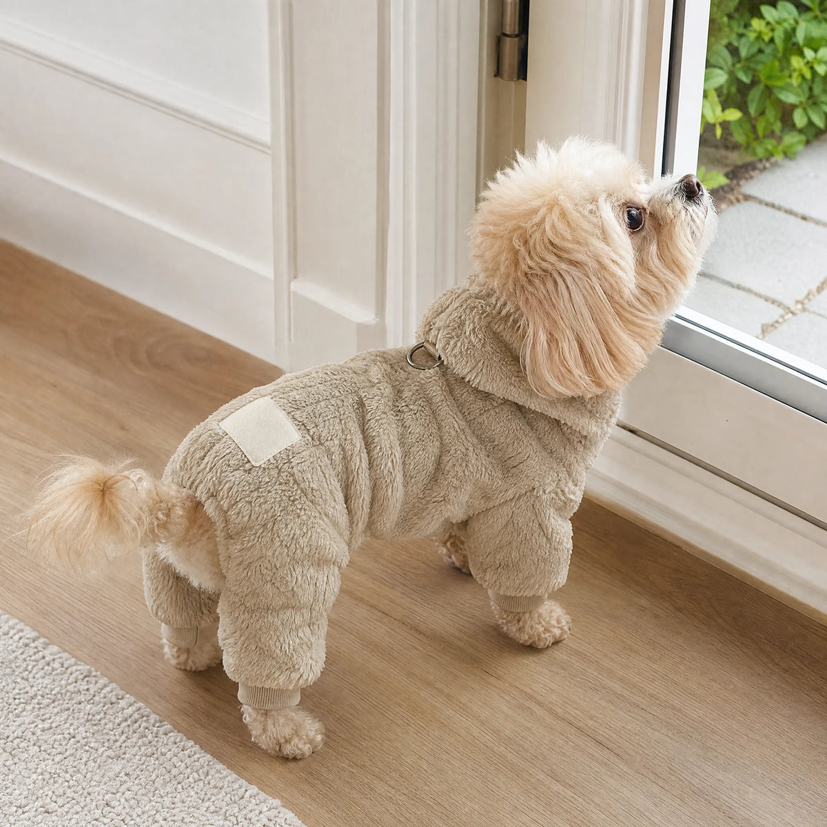 Cane con tuta pile cappuccio vicino alla porta