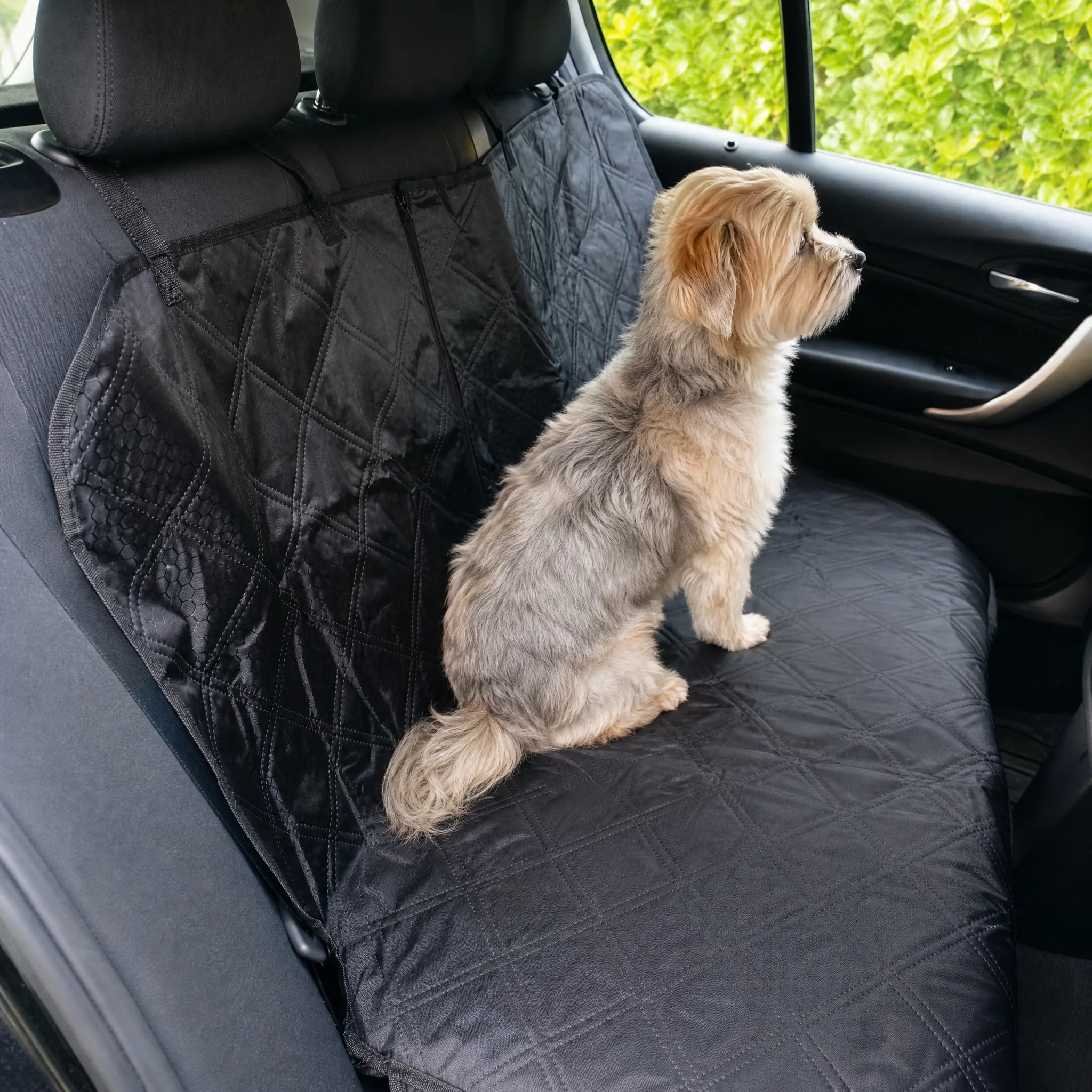 Cagnolino guarda fuori dal finestrino seduto sul coprisedile auto per cani