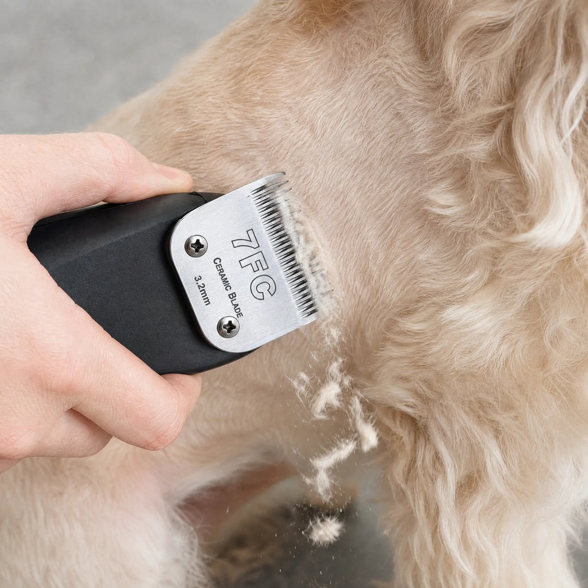 Lama 7FC ceramica in uso taglio pelo corpo cane