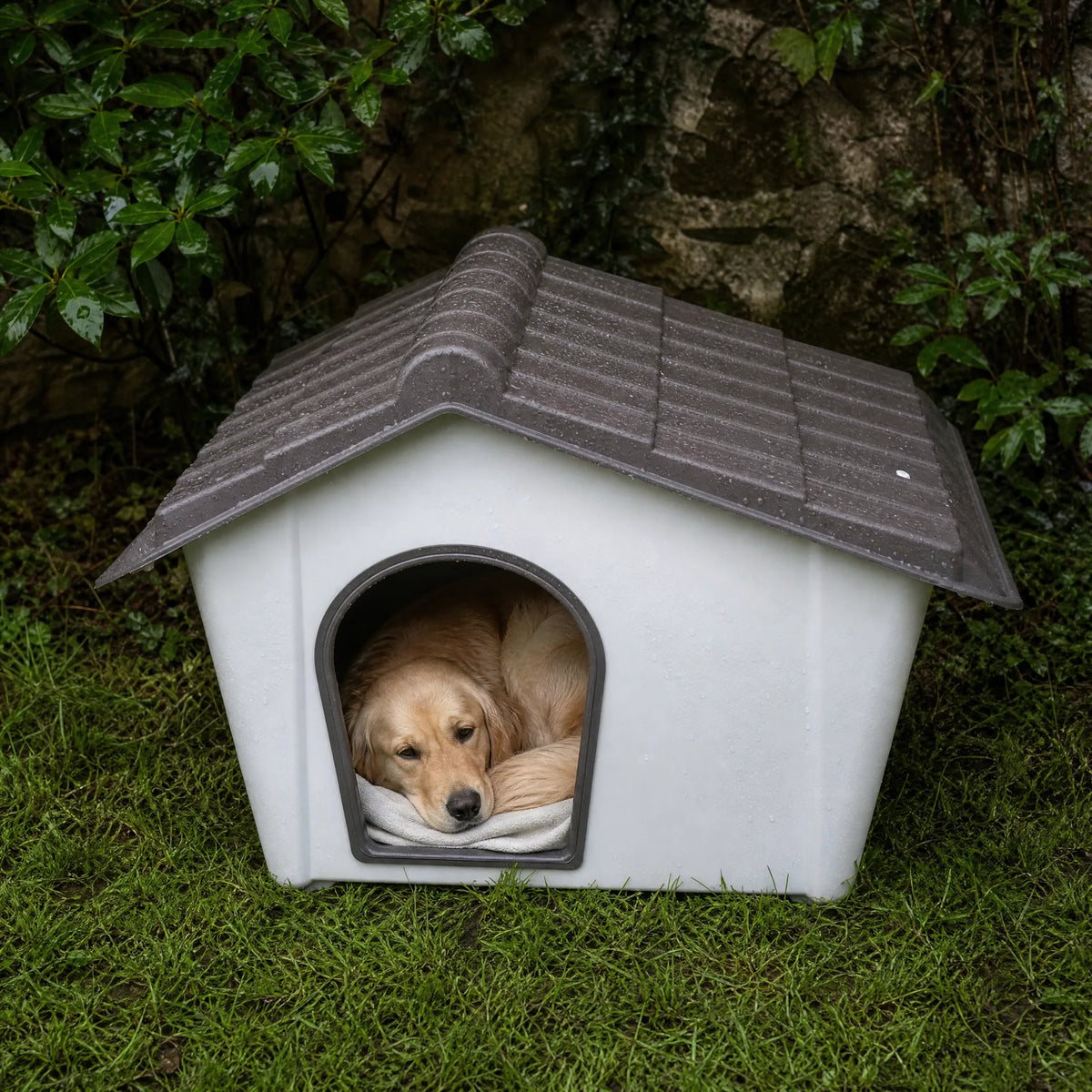 Cuccia plastica outdoor per cani su prato