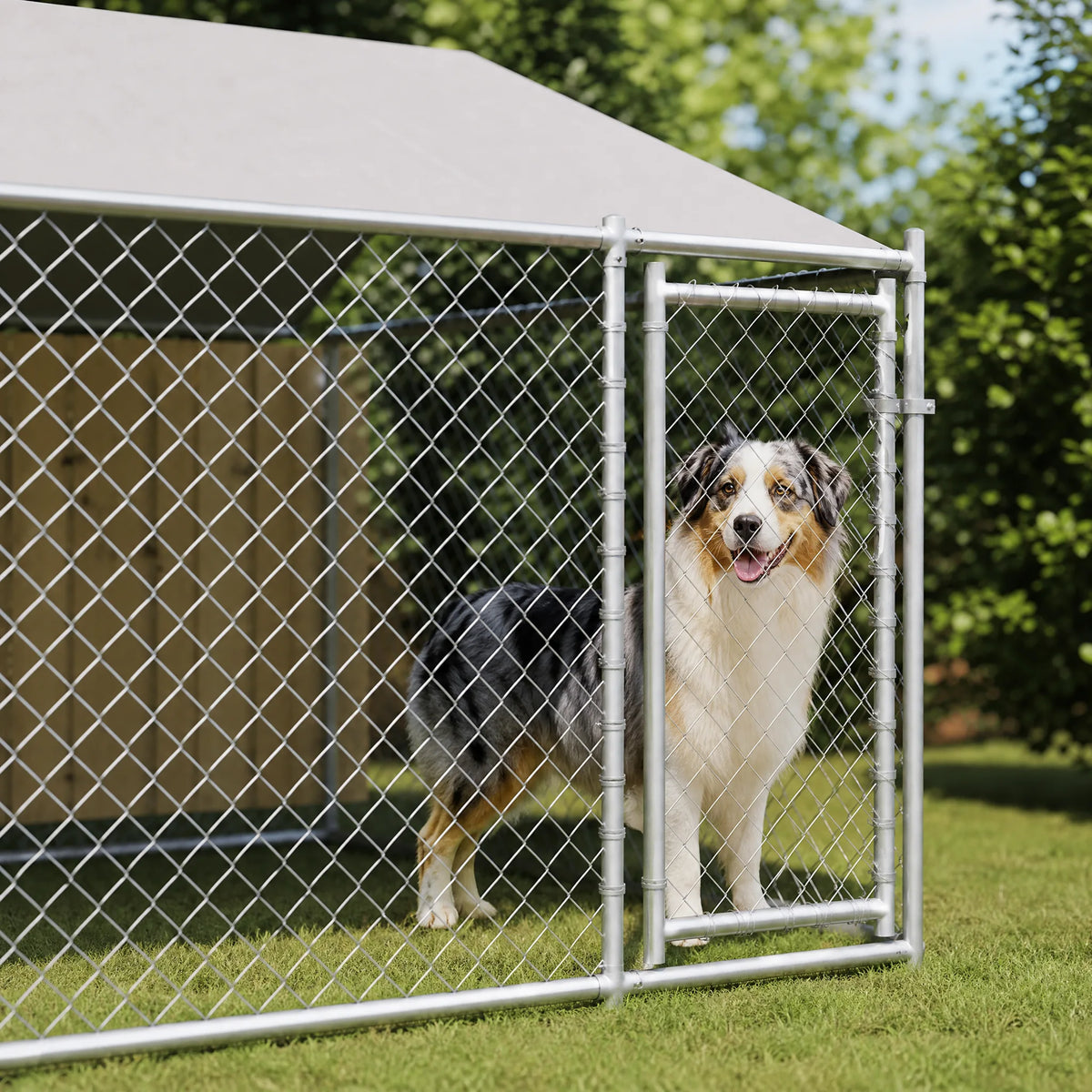 Porta con chiusura box cani esterno metallo