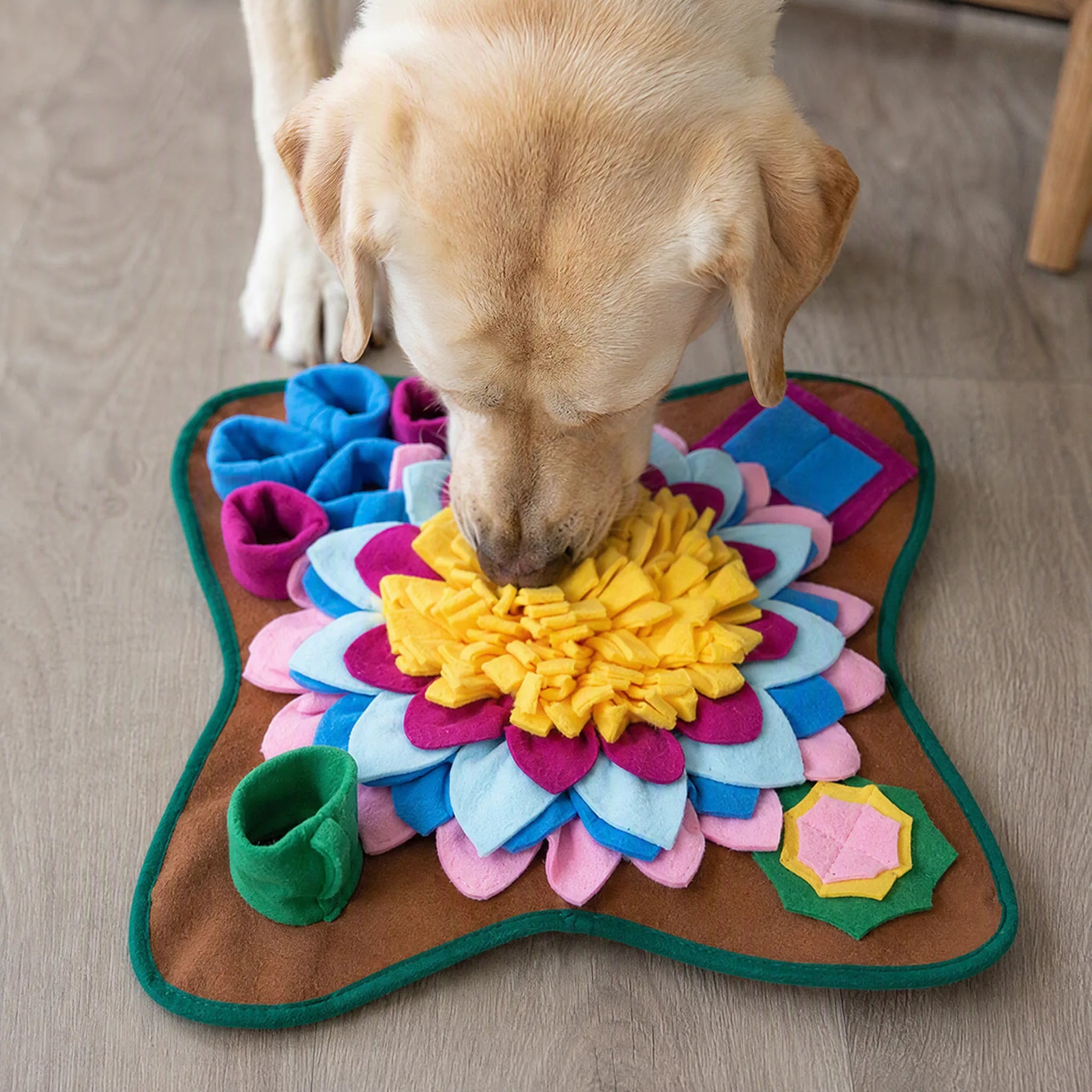 Cane col muso nel girasole del tappetino olfattivo
