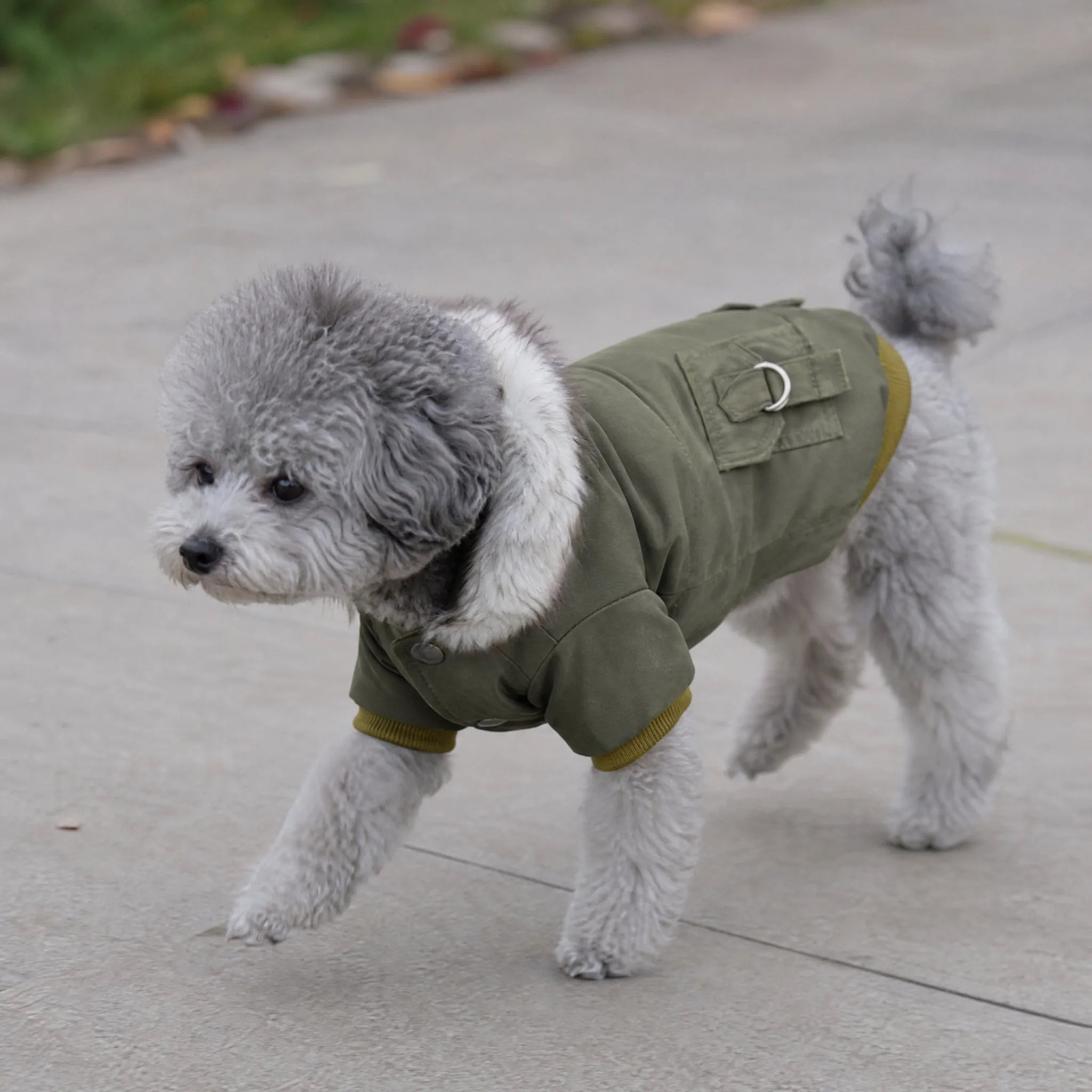 Cappottino cane parka pelliccia - vita 3
