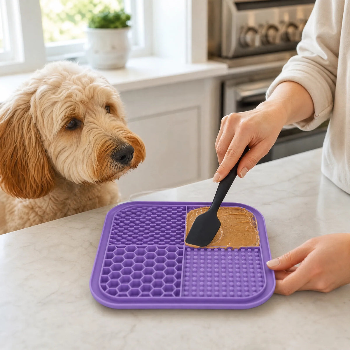 Tappetino da leccare cane - spalmatura snack con spatola