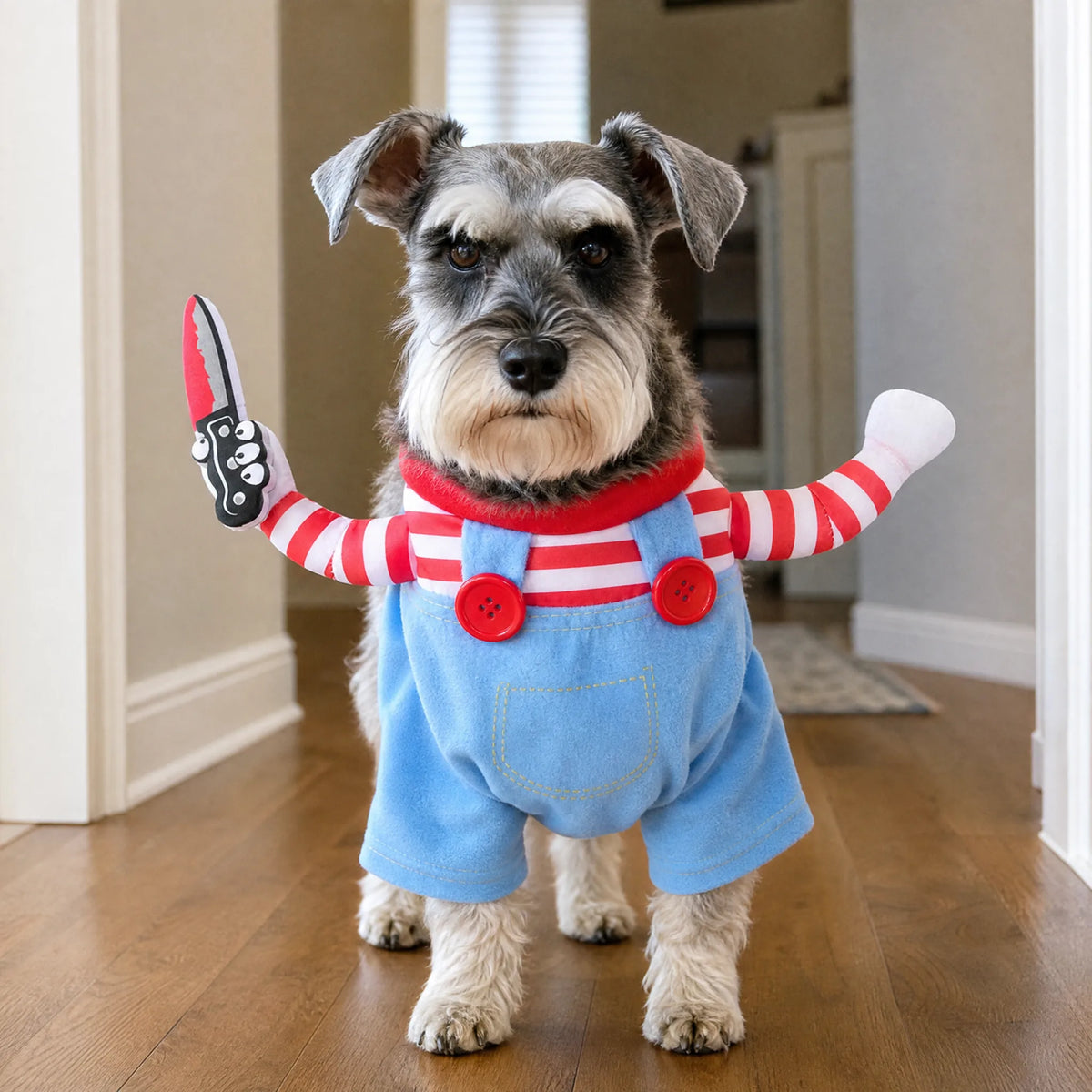 Cane piccolo con costume halloween braccia a righe
