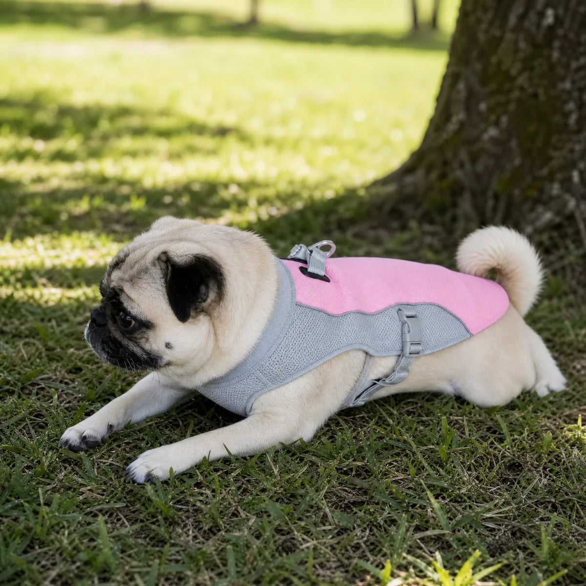 Cane con giubbotto refrigerante rosa a riposo all'aperto