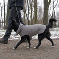 Border Collie con cappotto invernale in pile grigio per cani durante una passeggiata invernale al guinzaglio col padrone in un parco innevato
