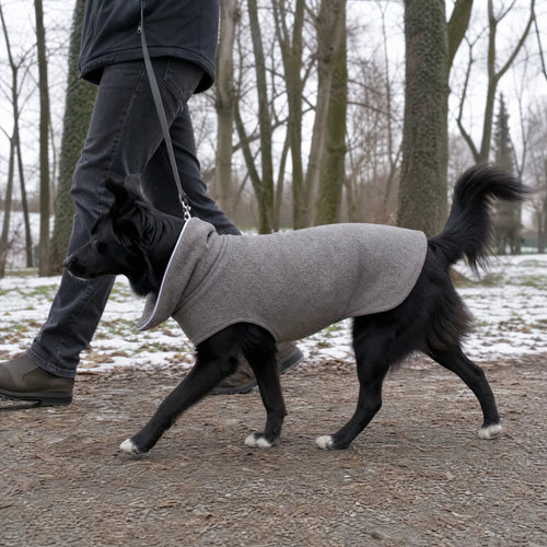 Border Collie con cappotto invernale in pile grigio per cani durante una passeggiata invernale al guinzaglio col padrone in un parco innevato