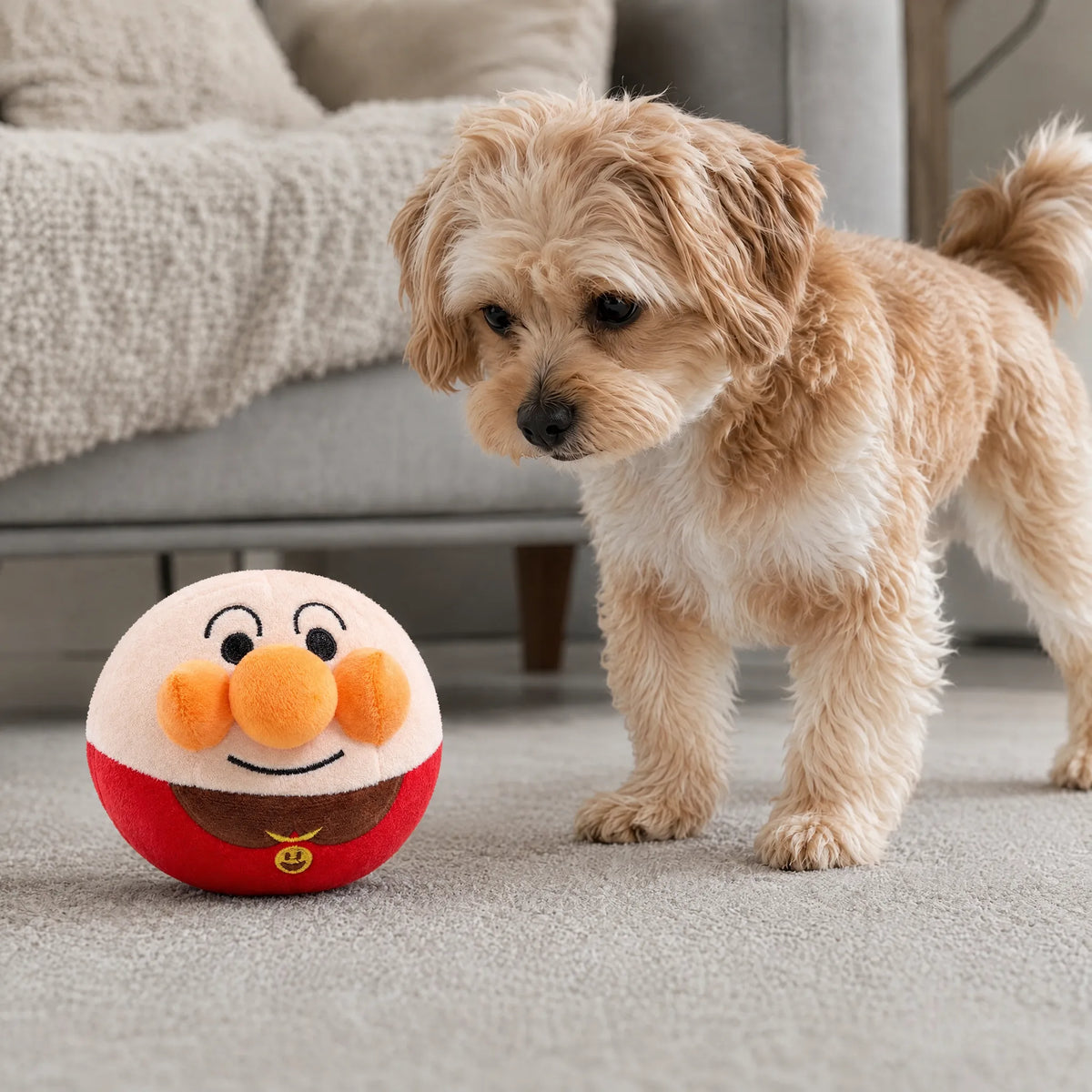 Cane in salotto con la palla saltellante USB faccia pagliaccio