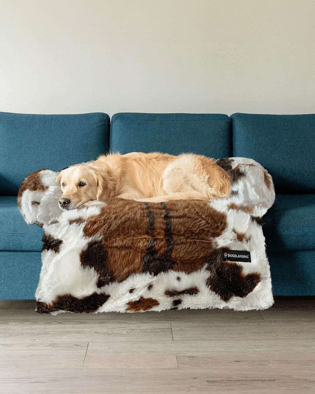 Felici Insieme - Copridivano per Cani, Mucca, Jumbo