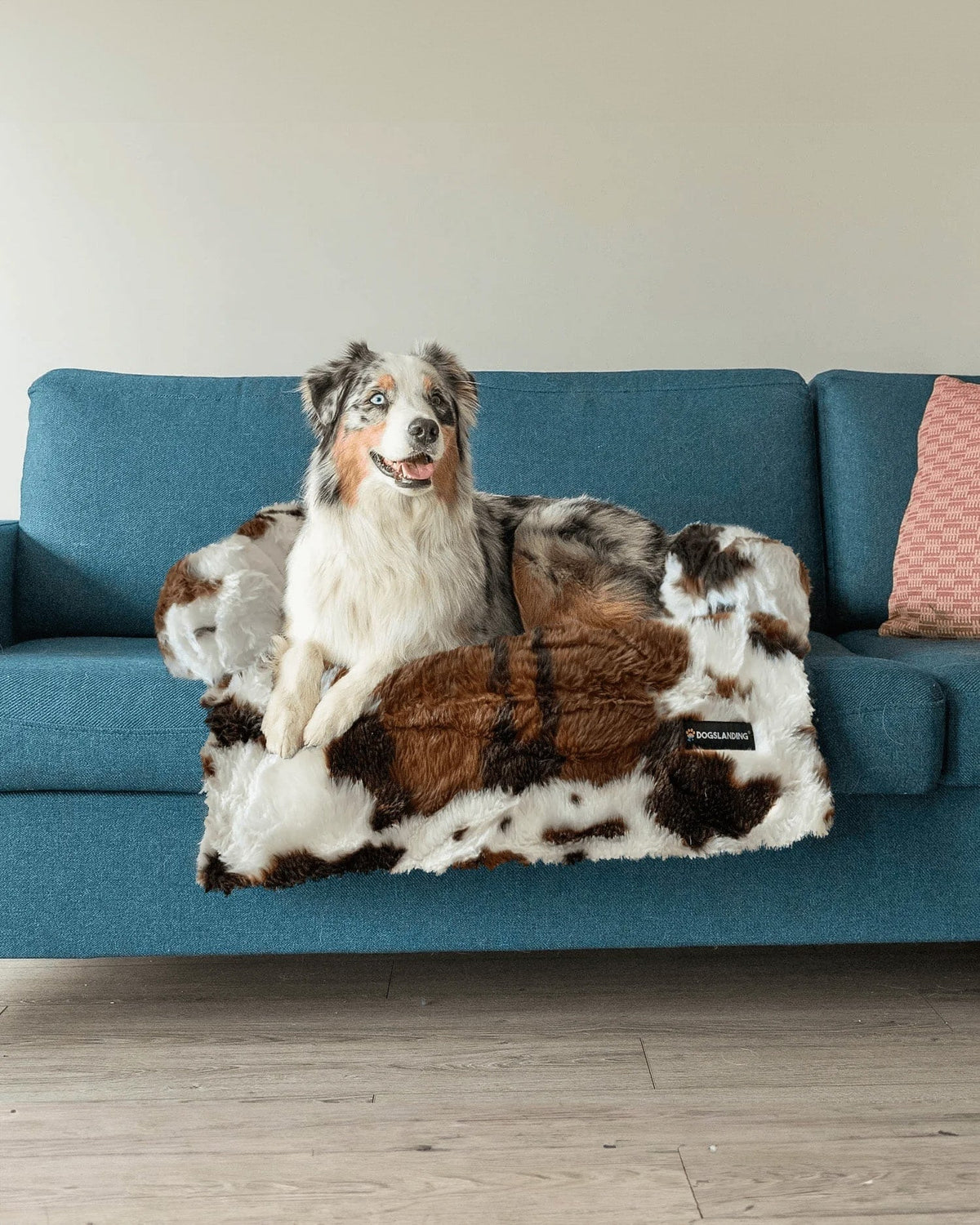 Felici Insieme - Copridivano per Cani, Mucca, Grande