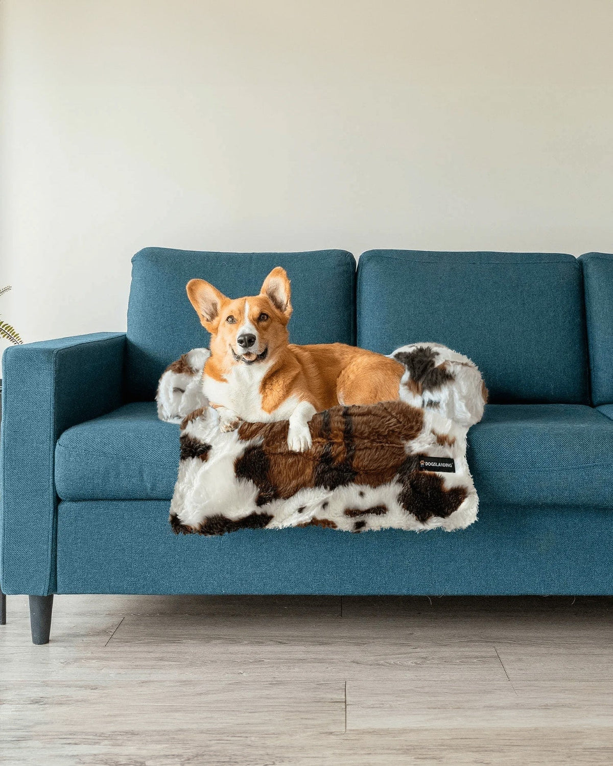 Felici Insieme - Copridivano per Cani, Mucca, Piccola