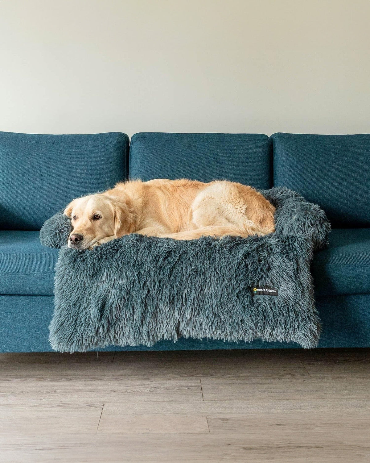 Felici Insieme - Copridivano per Cani, Grigio scuro, Jumbo