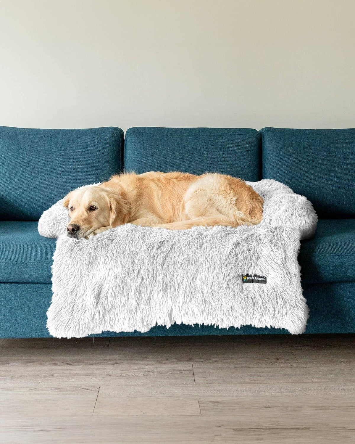 Felici Insieme - Copridivano per Cani, Ghiaccio, Jumbo