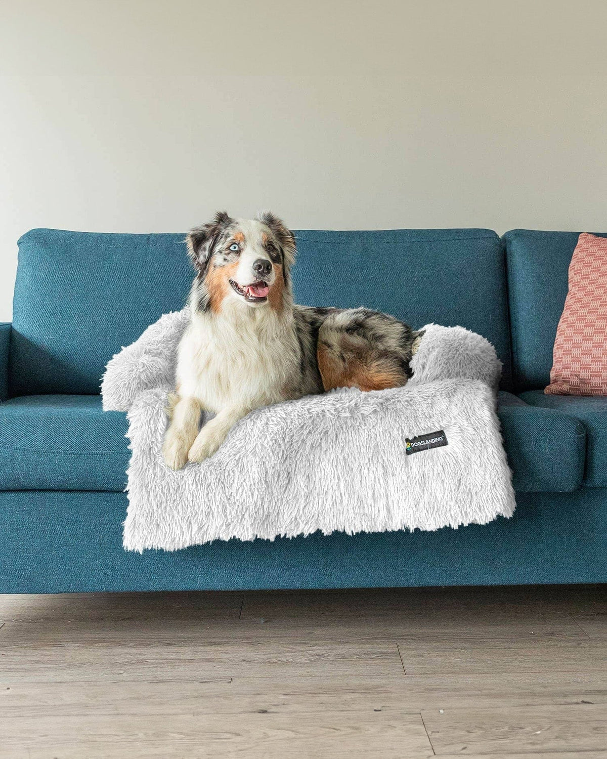 Felici Insieme - Copridivano per Cani, Ghiaccio, Grande