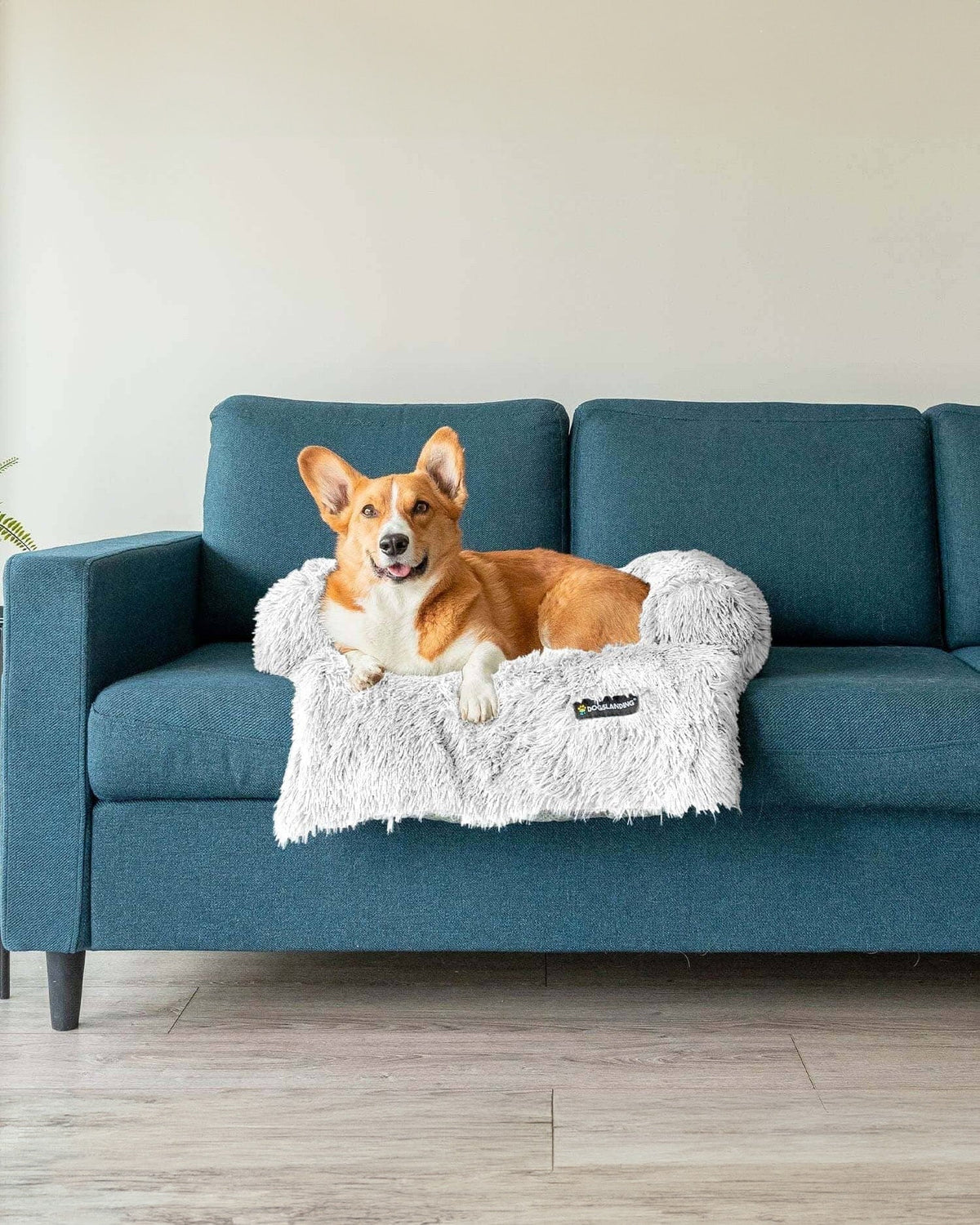 Felici Insieme - Copridivano per Cani, Ghiaccio, Piccola