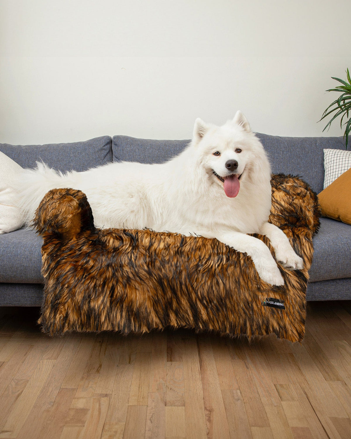 Felici Insieme - Copridivano per Cani, Lusso marrone, Jumbo