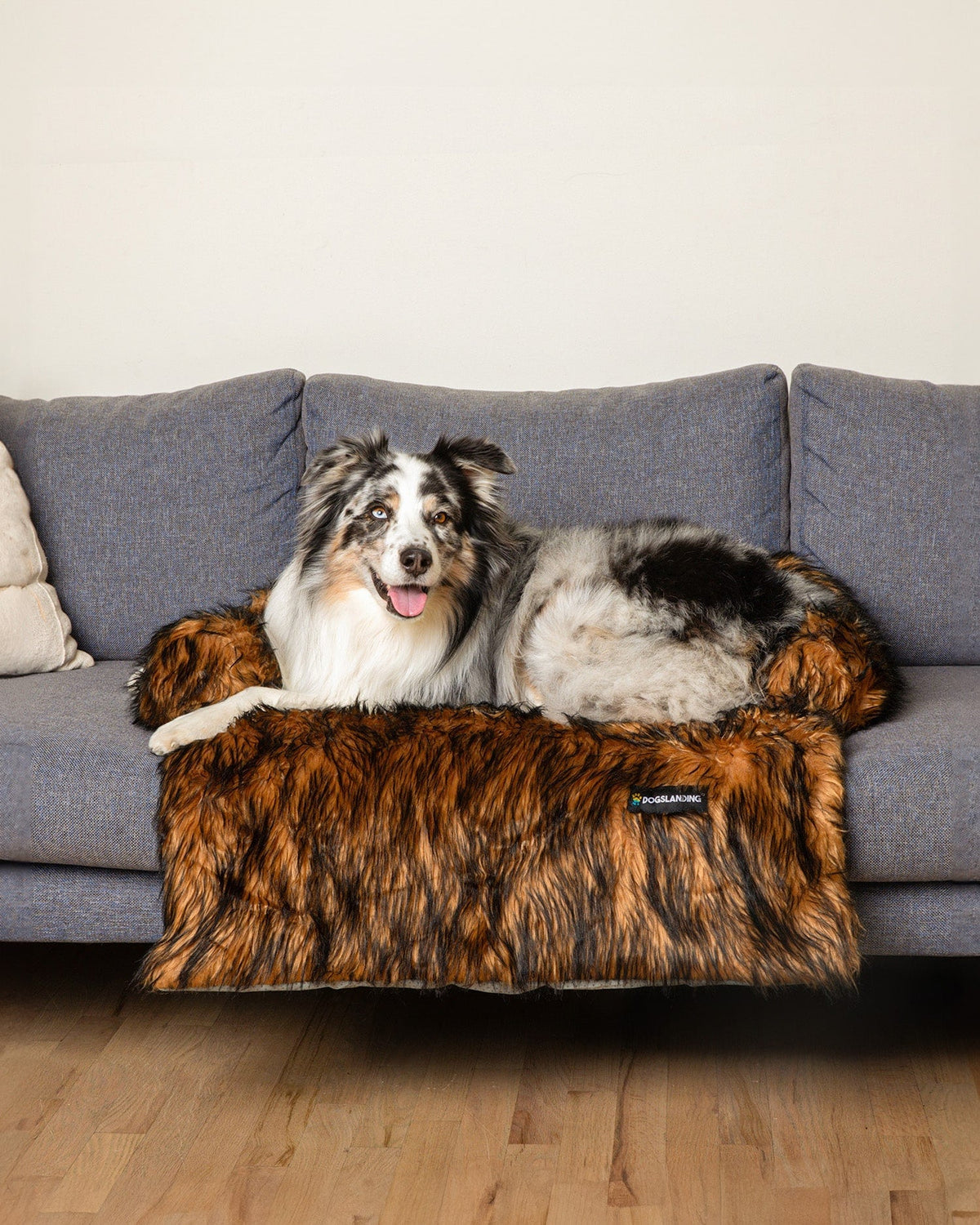 Felici Insieme - Copridivano per Cani, Lusso marrone, Grande