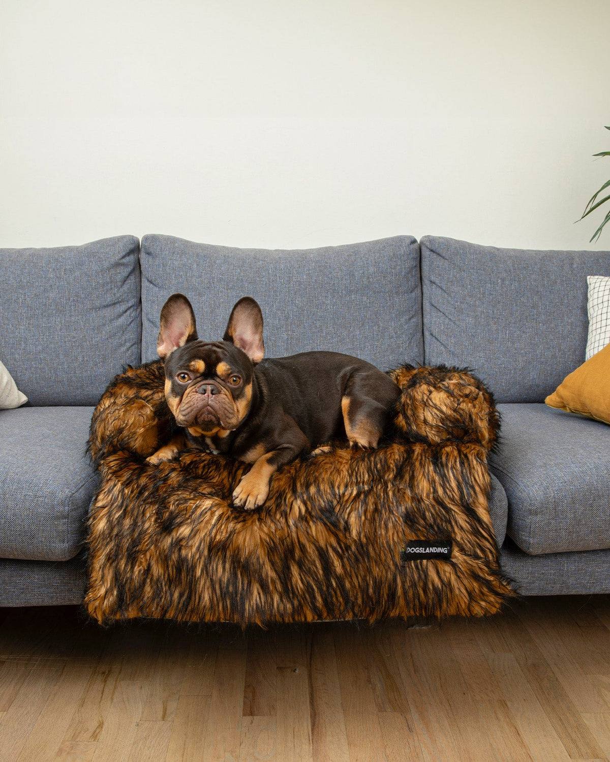 Felici Insieme - Copridivano per Cani, Lusso marrone, Piccola