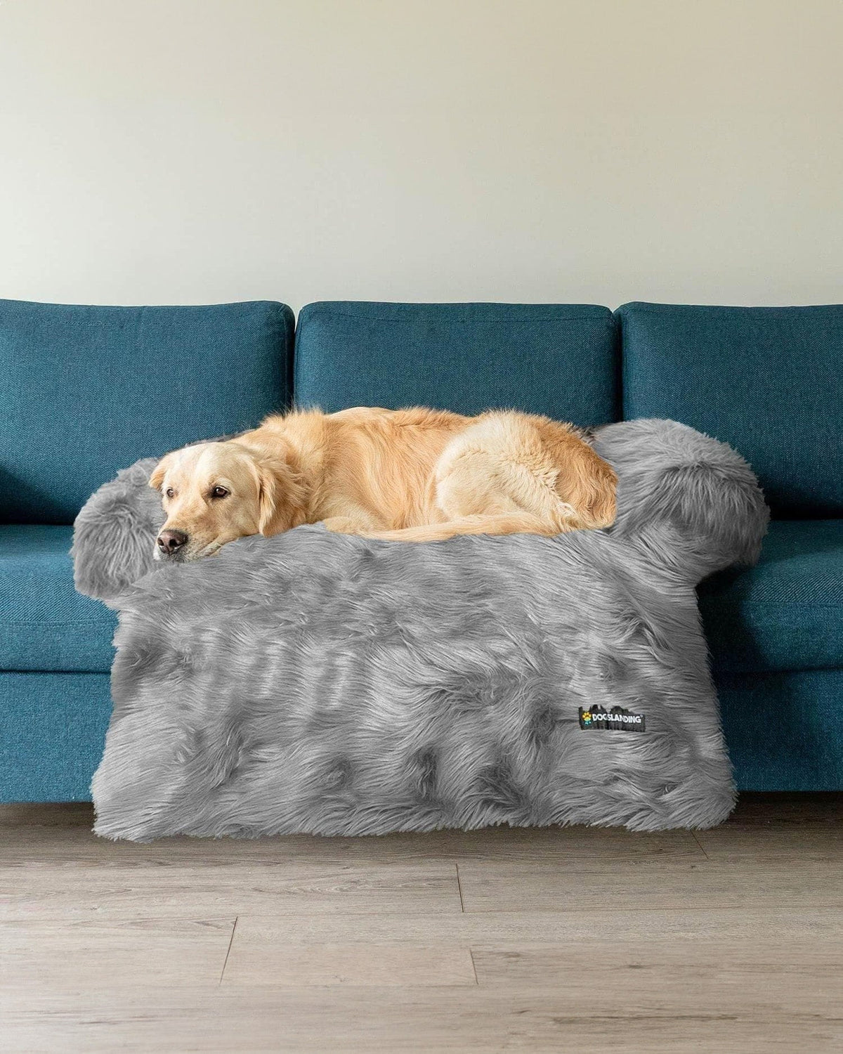 Felici Insieme - Copridivano per Cani, Lusso, Jumbo