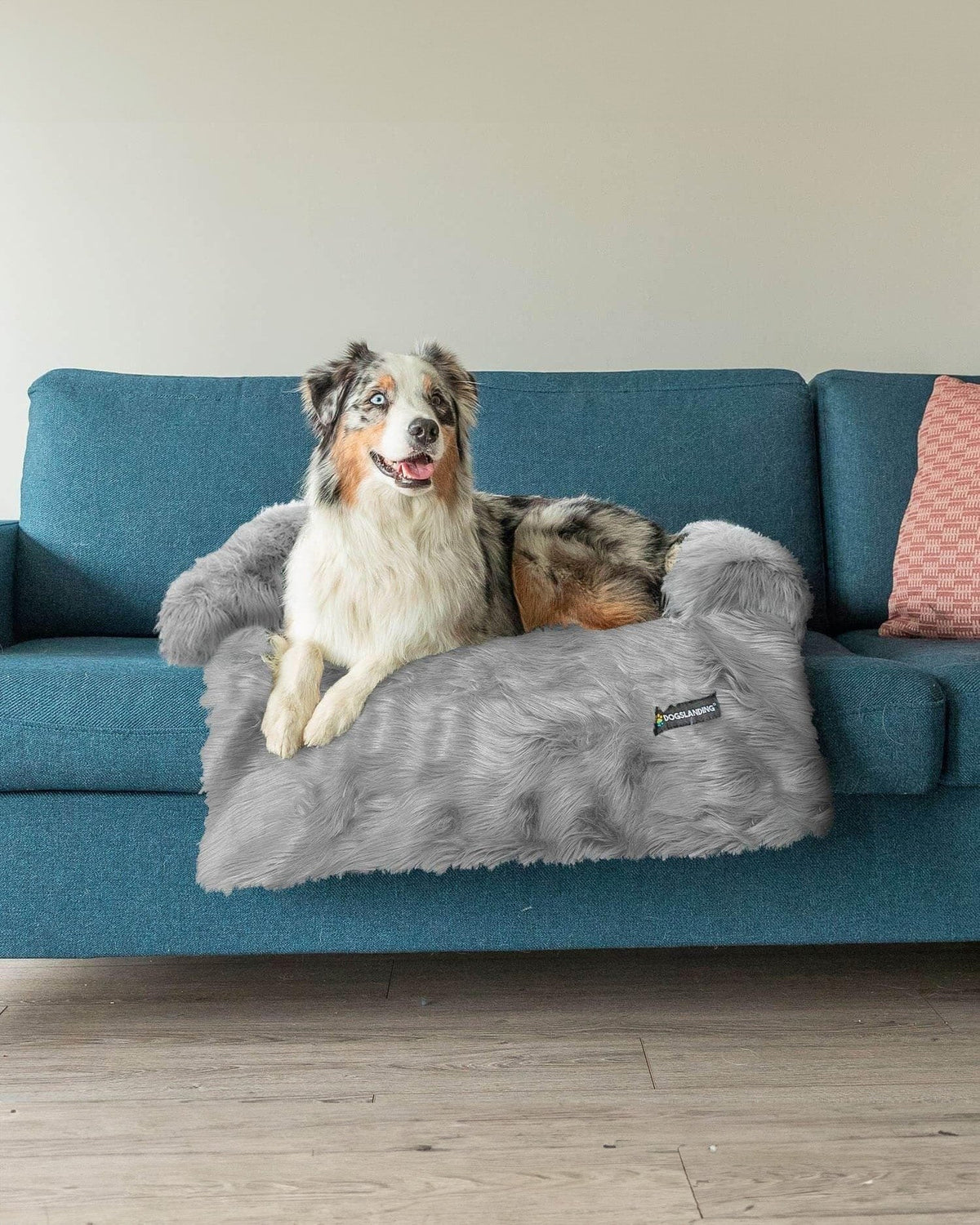 Felici Insieme - Copridivano per Cani, Lusso, Grande