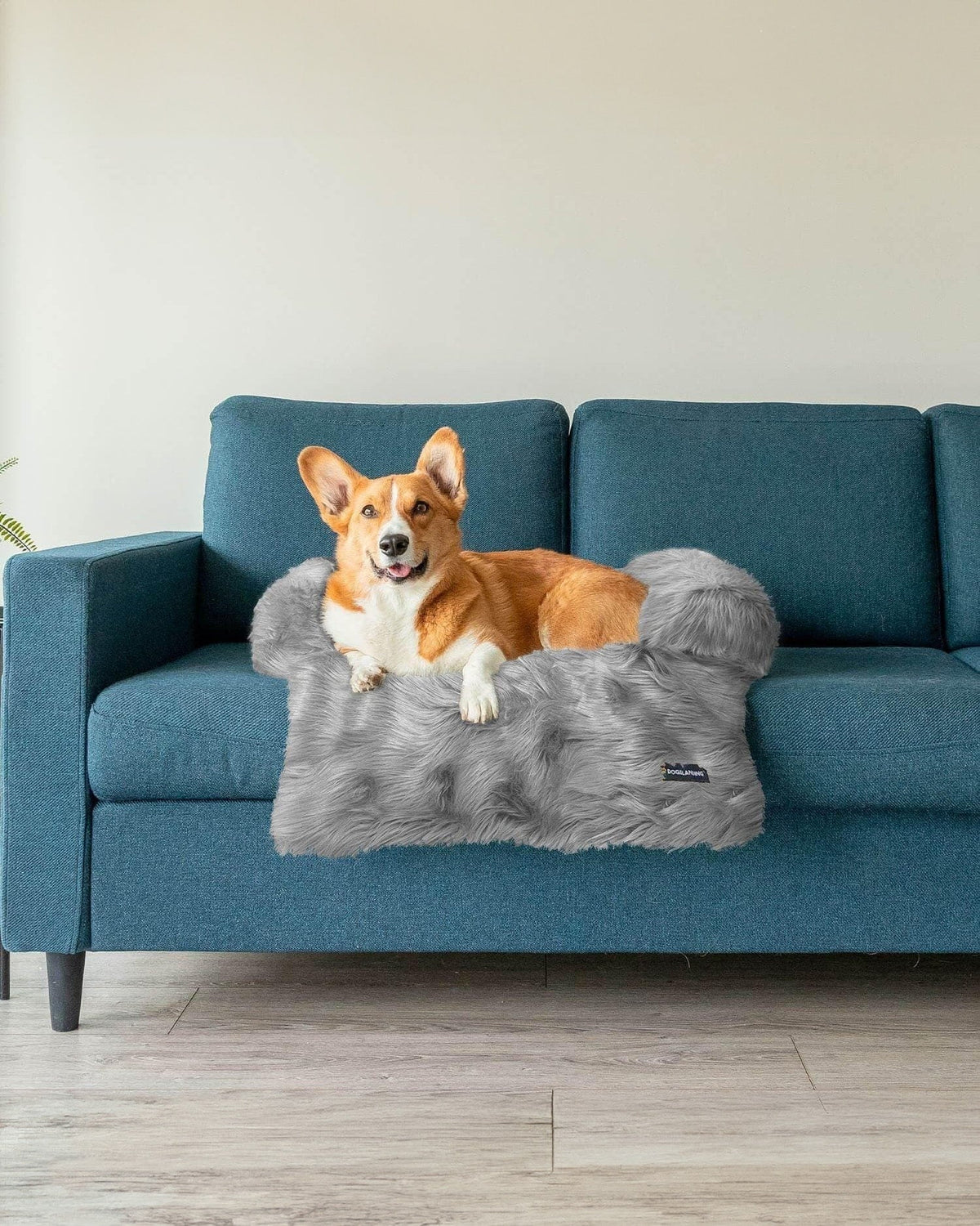 Felici Insieme - Copridivano per Cani, Lusso, Piccola
