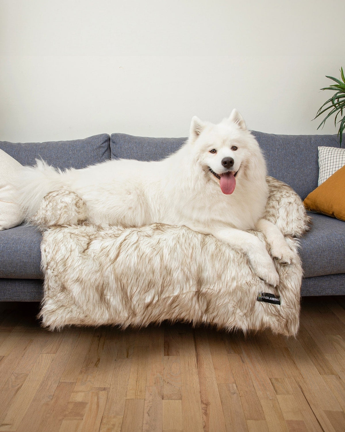 Felici Insieme - Copridivano per Cani, Lusso tortora, Jumbo