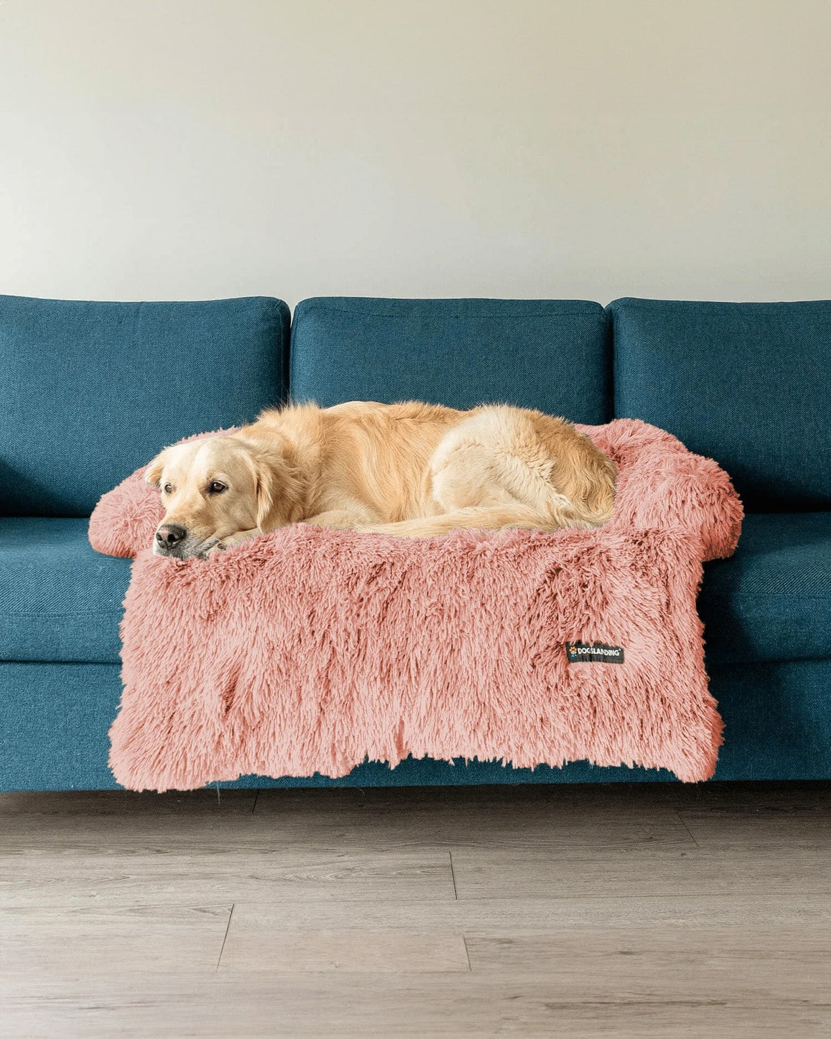 Felici Insieme - Copridivano per Cani, Rosa, Jumbo