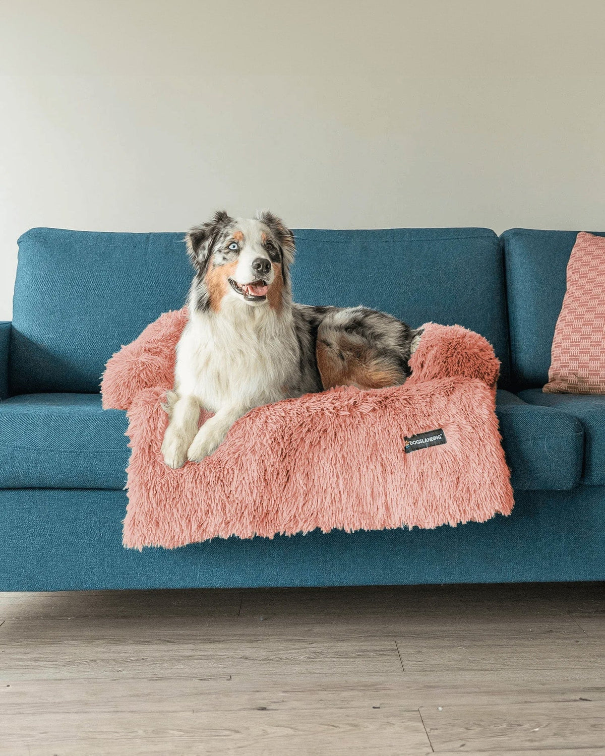 Felici Insieme - Copridivano per Cani, Rosa, Grande
