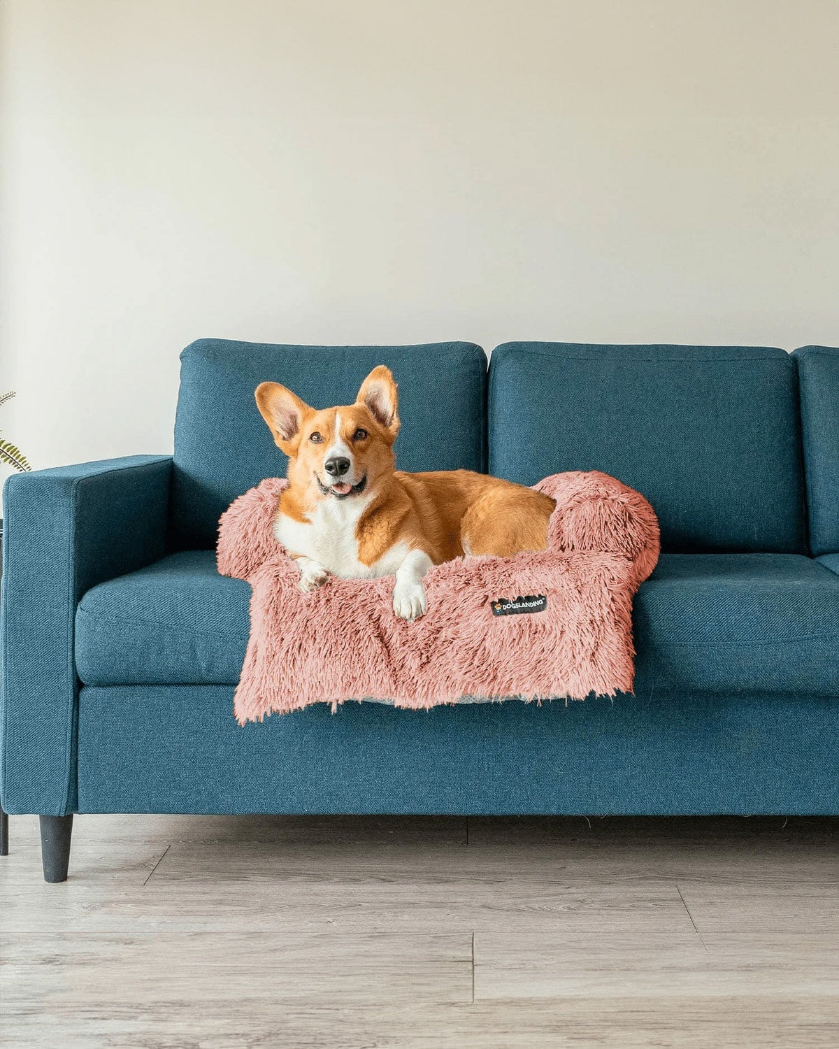Felici Insieme - Copridivano per Cani, Rosa, Piccola