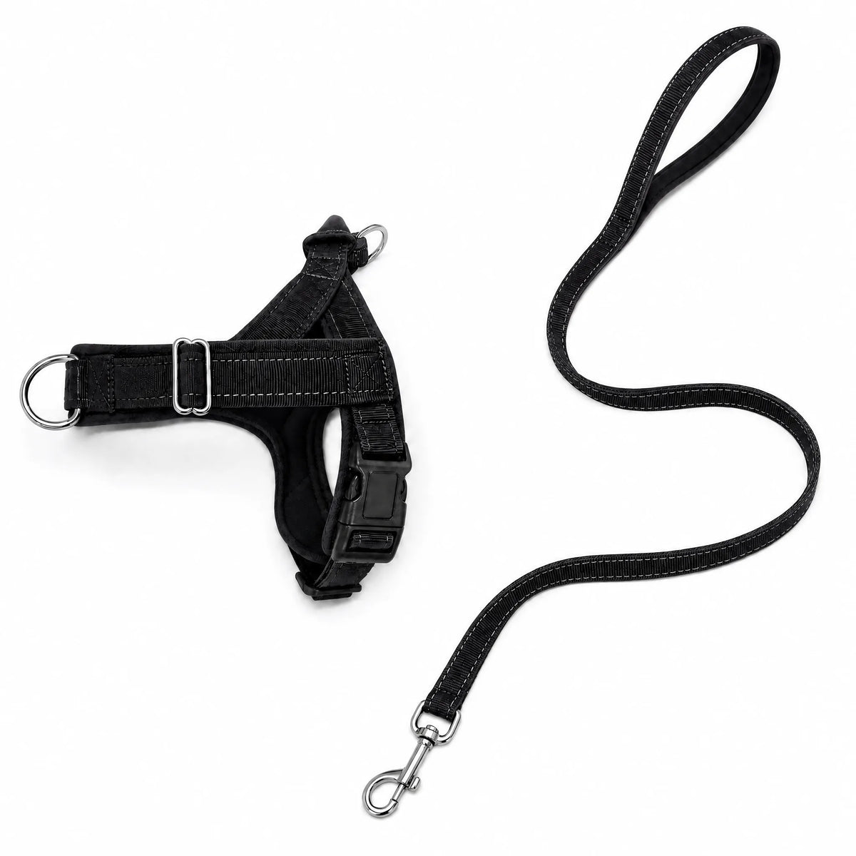 Set pettorina e guinzaglio antitrazione per cani, colore nero, sfondo bianco
