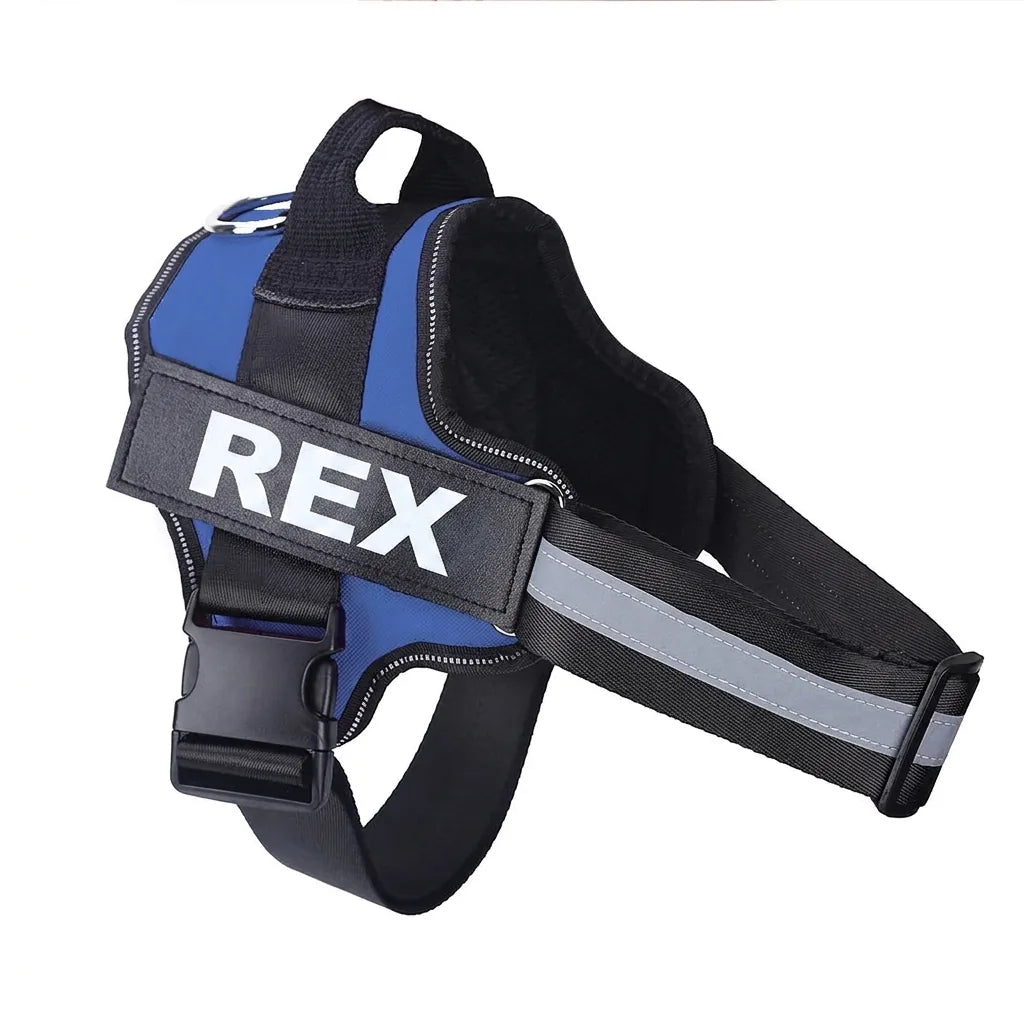 Pettorina personalizzata per cani con nome ricamato anti-trazione, colore blu, sfondo bianco
